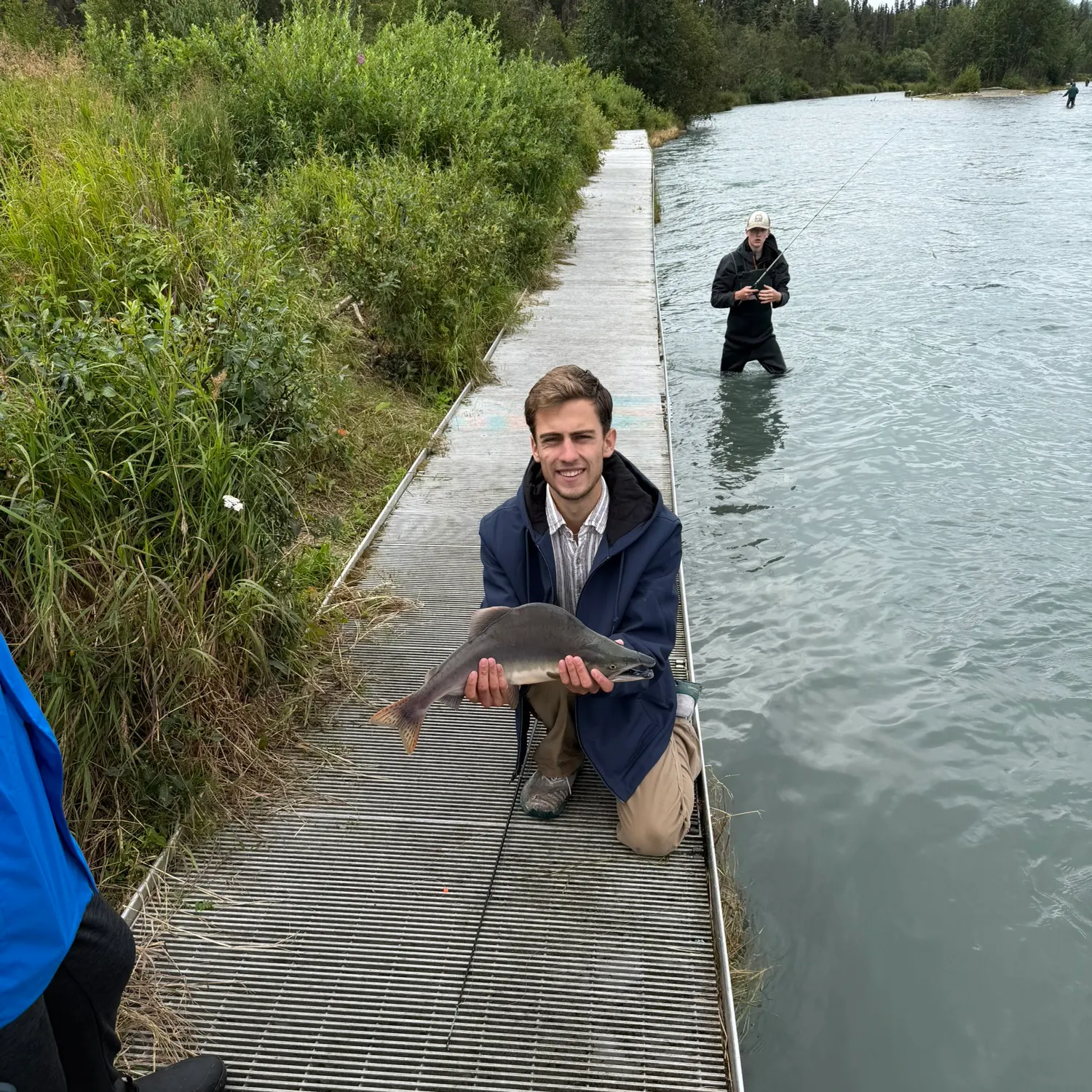 The most recent Pink salmon catches on Fishbrain