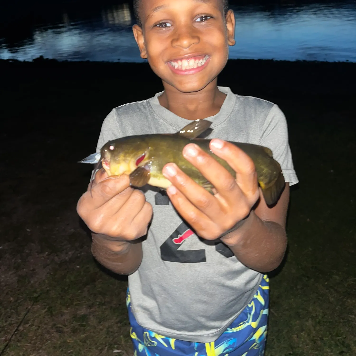 Yellow bullhead caught on Fishbrain