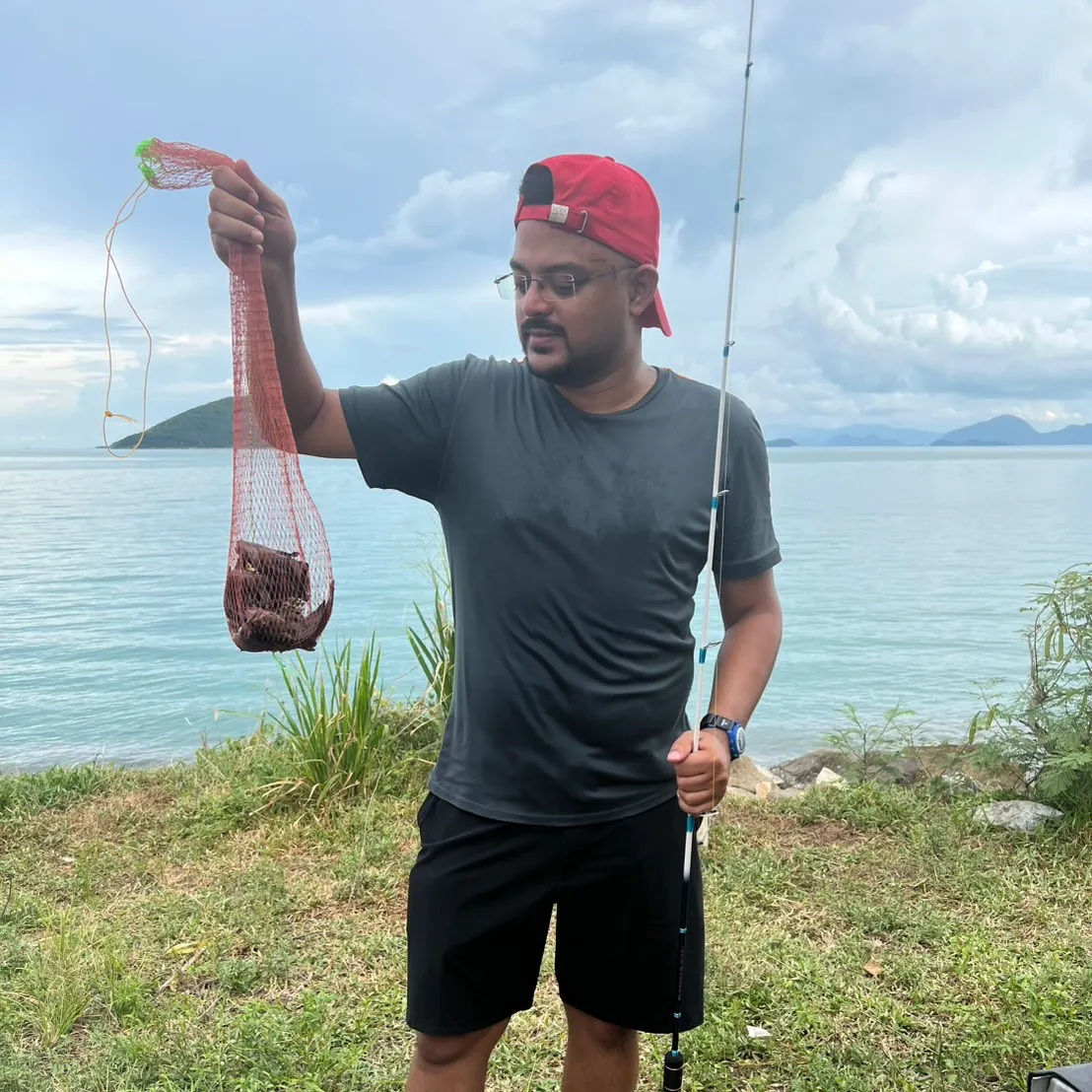 most liked catch image