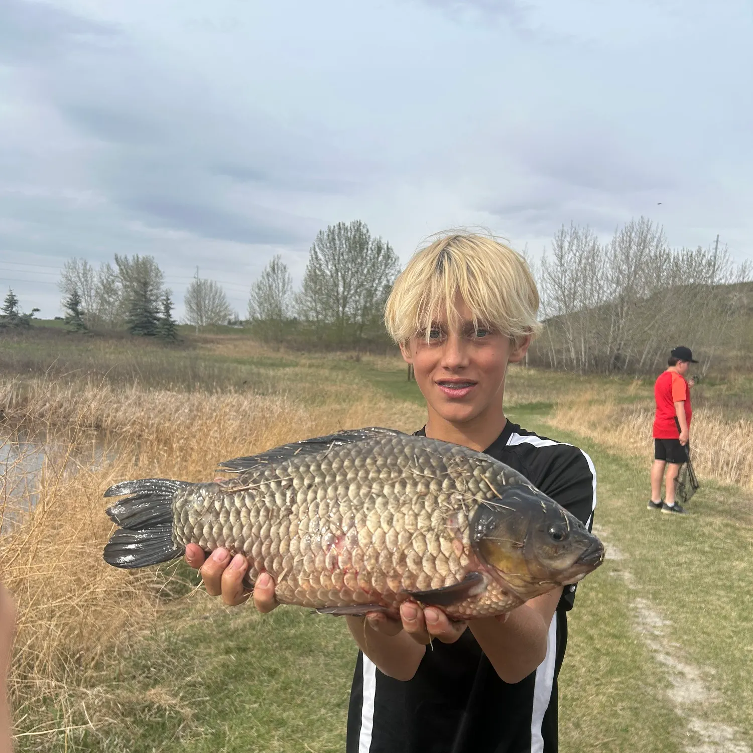 The most recent Prussian carp catches on Fishbrain
