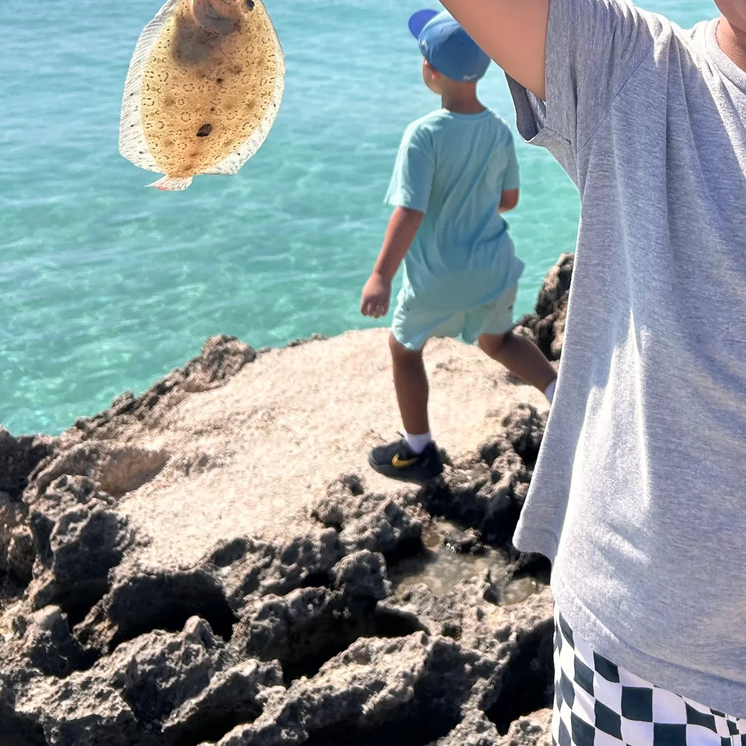 The most recent Largetooth flounder catches on Fishbrain