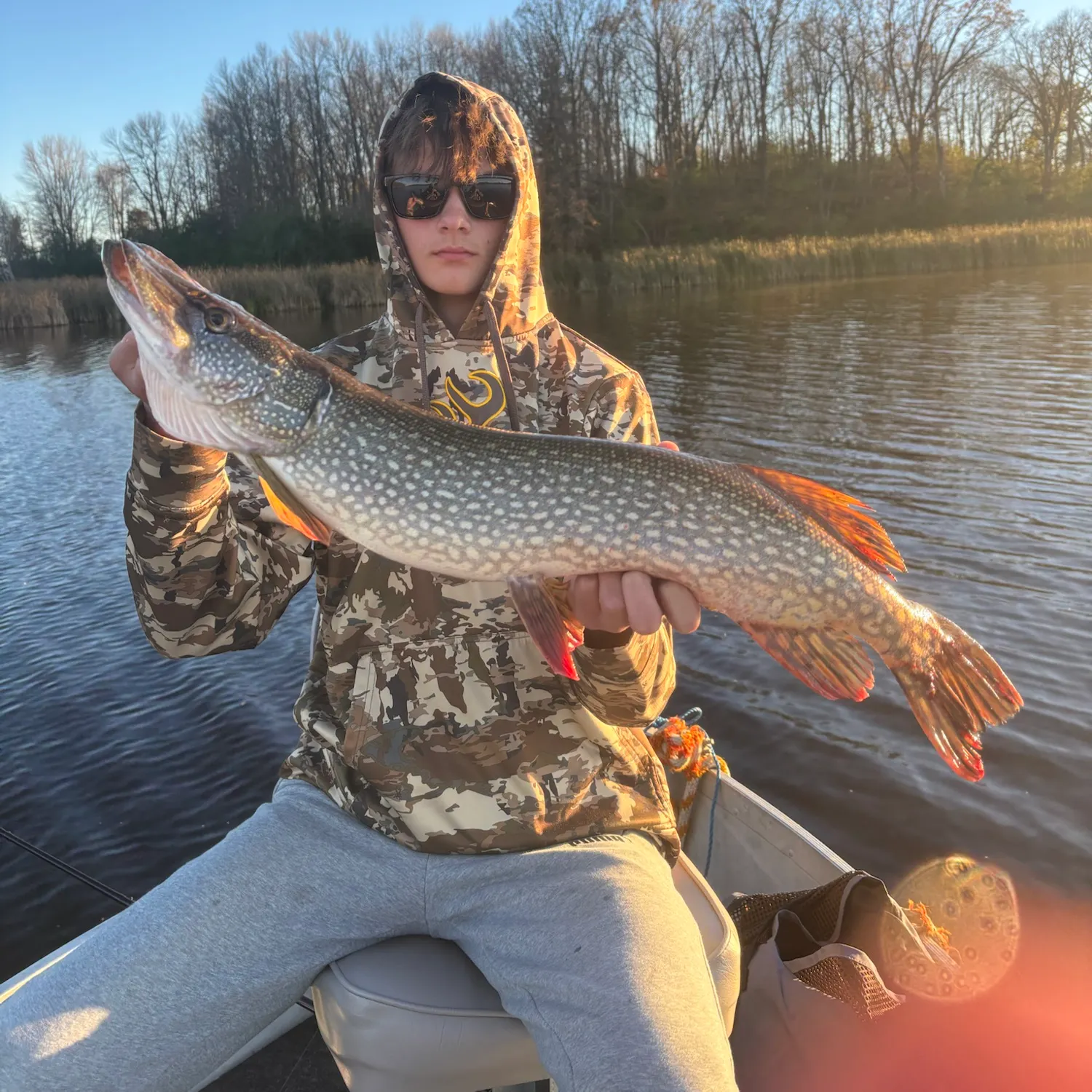 Northern pike caught on Fishbrain