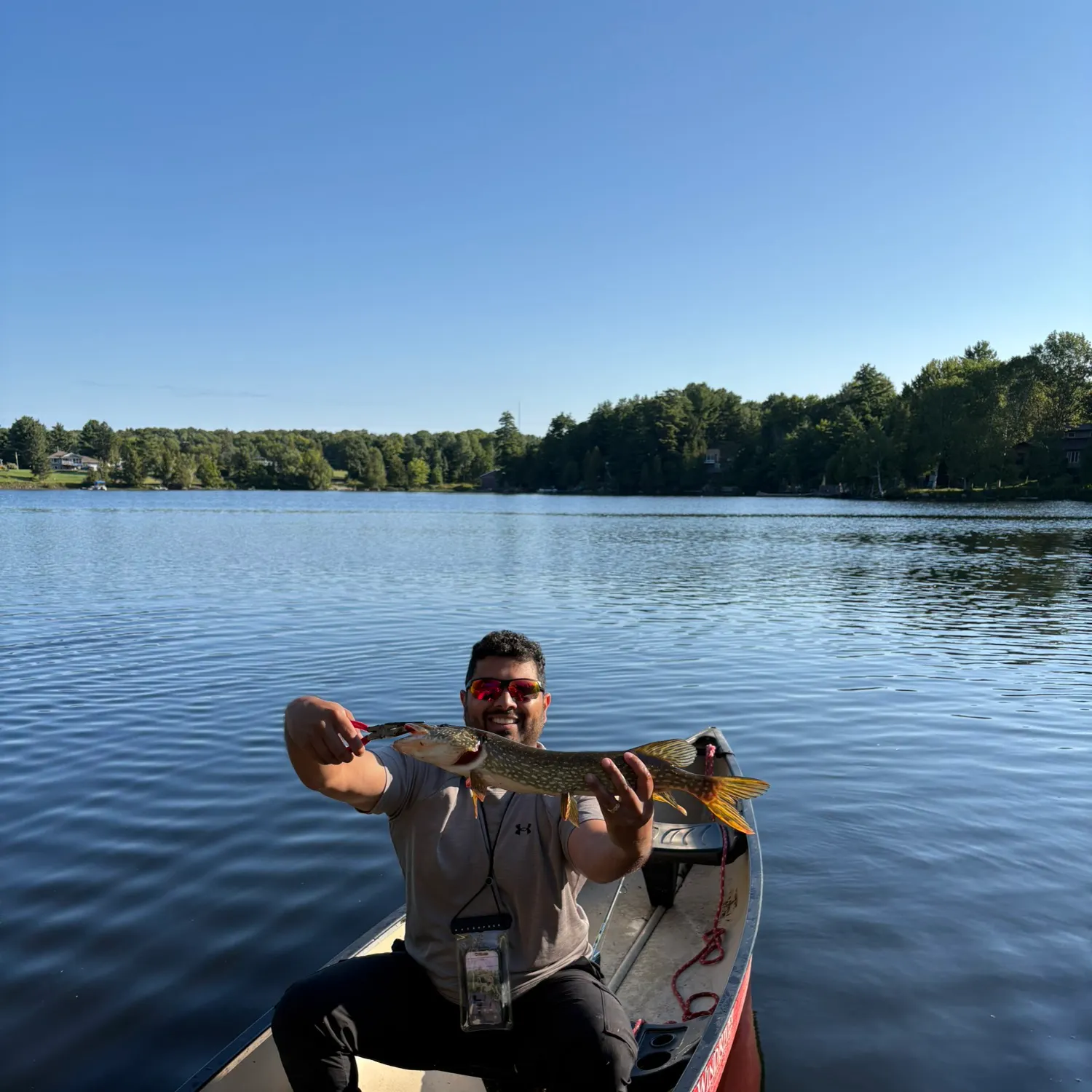 Northern pike caught on Fishbrain