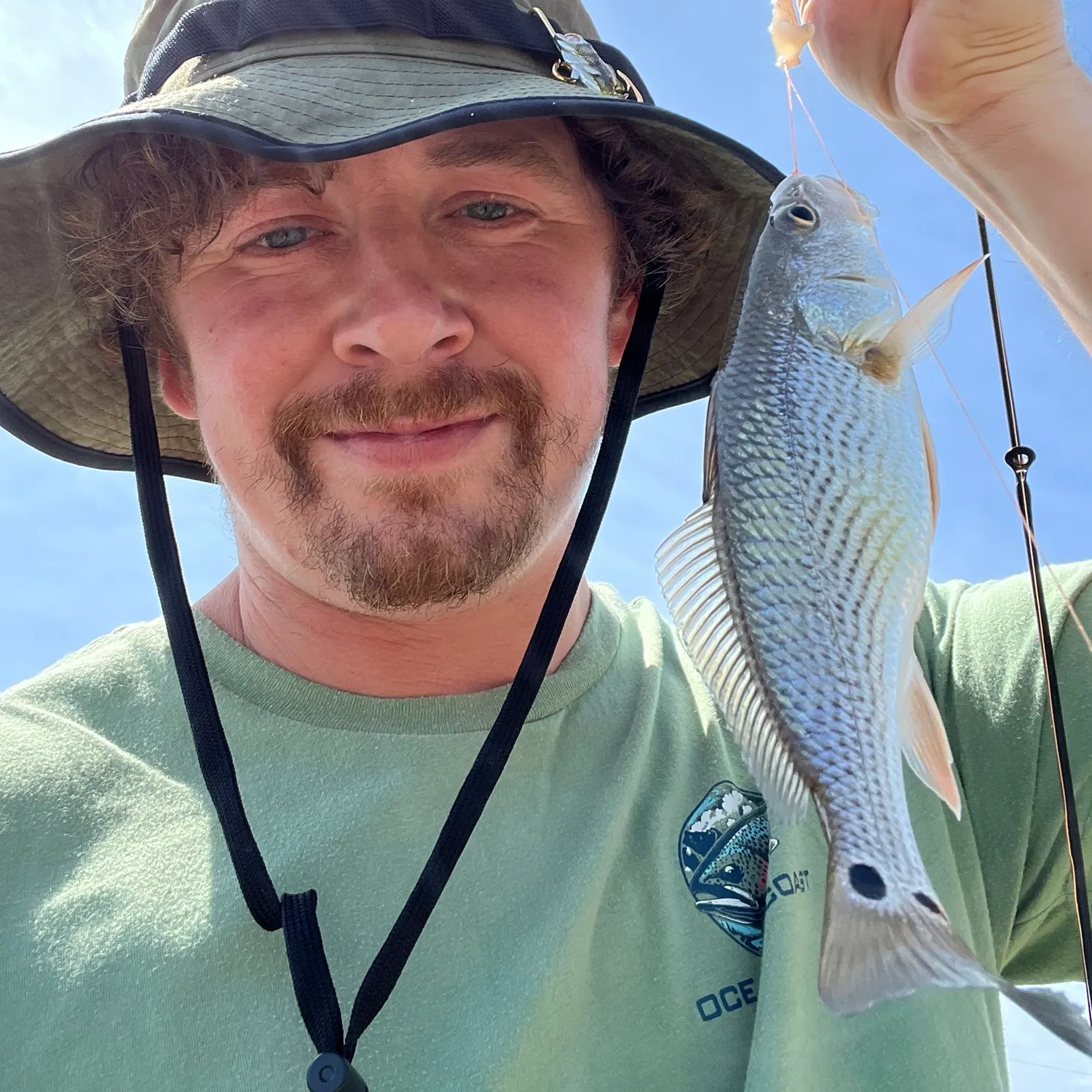 The most recent Red drum catches on Fishbrain