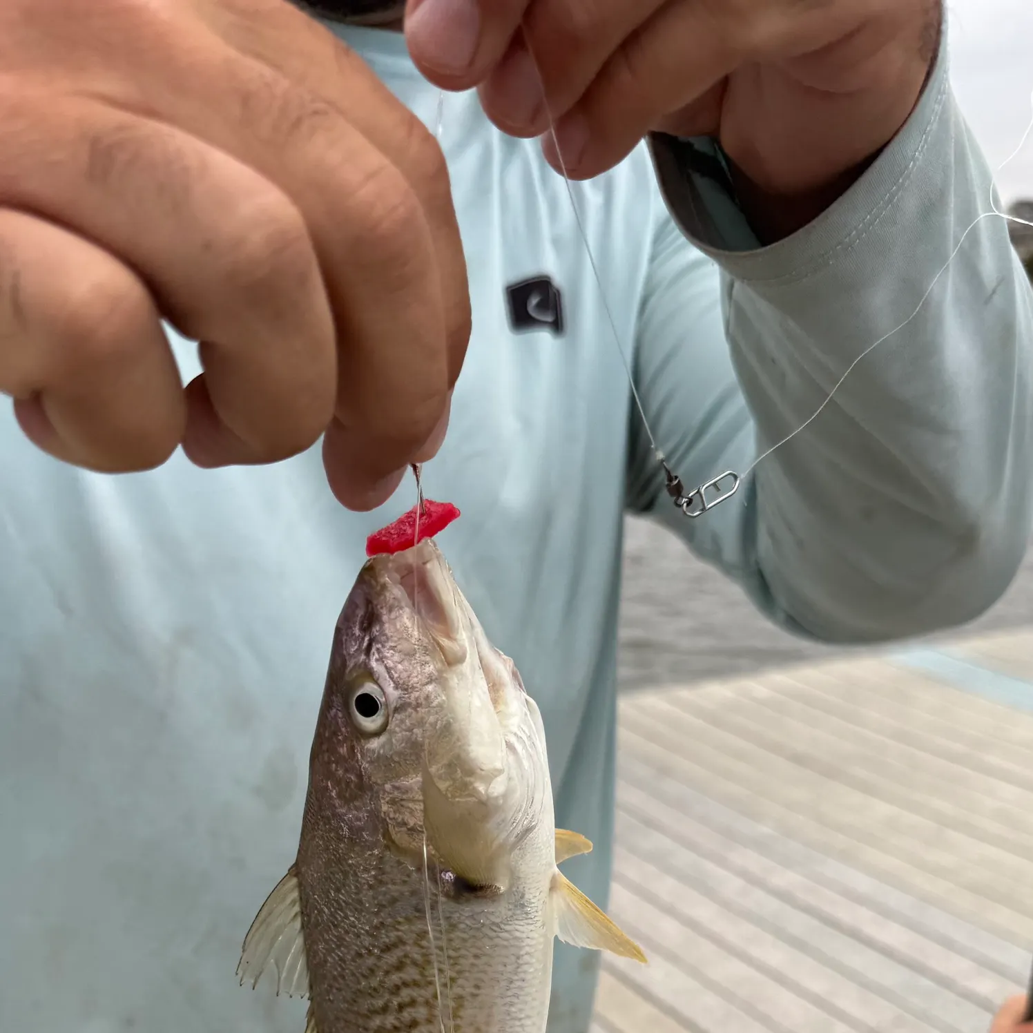 catch