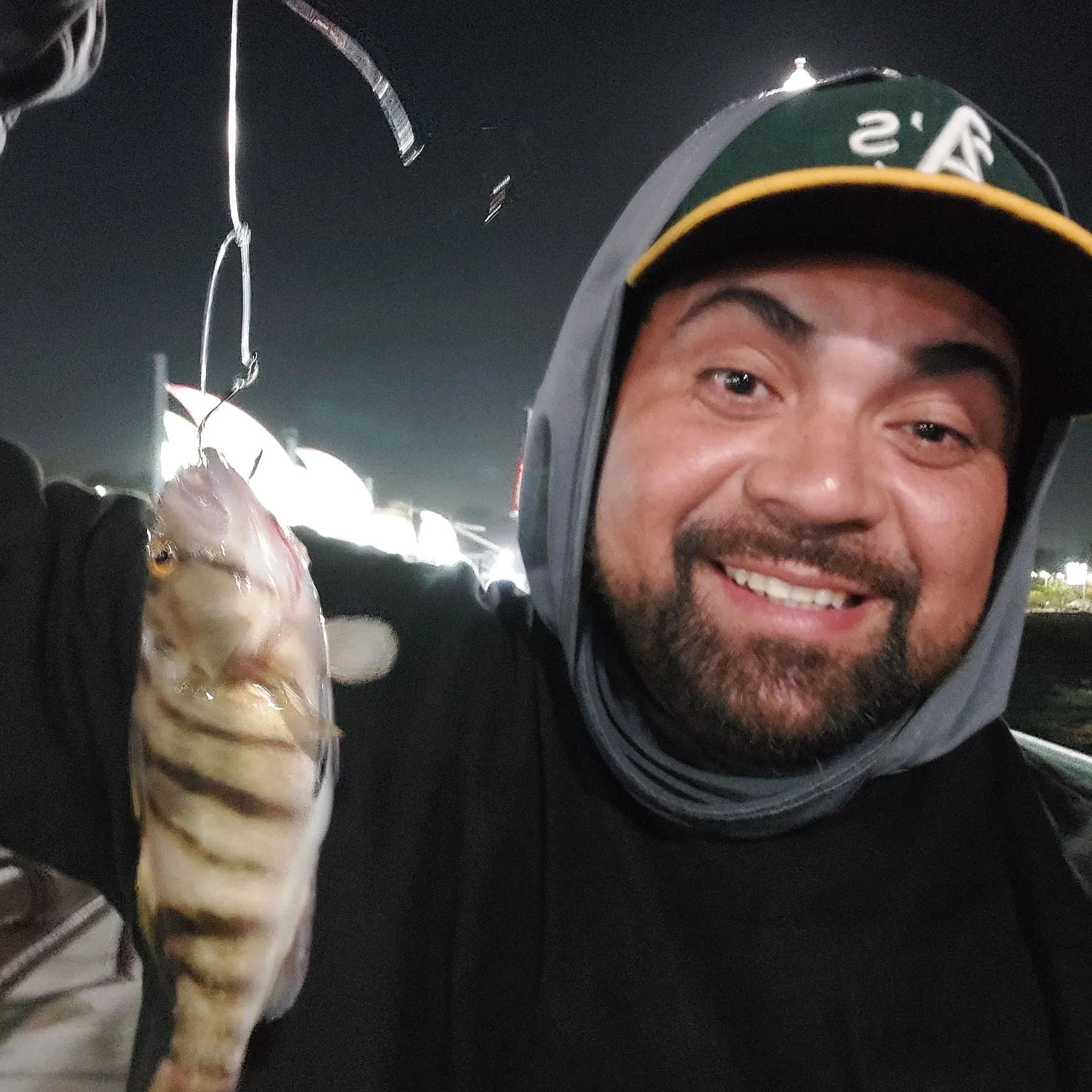 Barred sand bass caught on Fishbrain