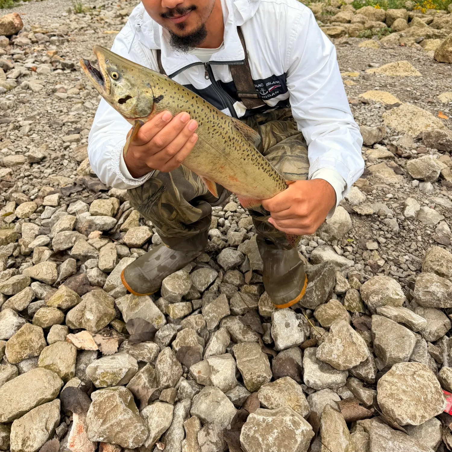 Fish caught on Fishbrain