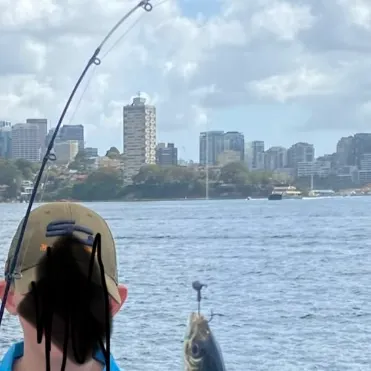 The most recent Yellowtail scad catches on Fishbrain