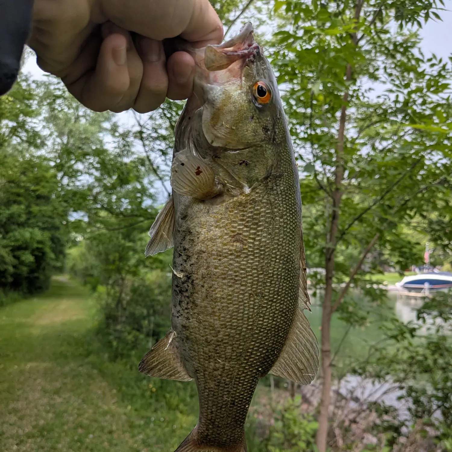 catch