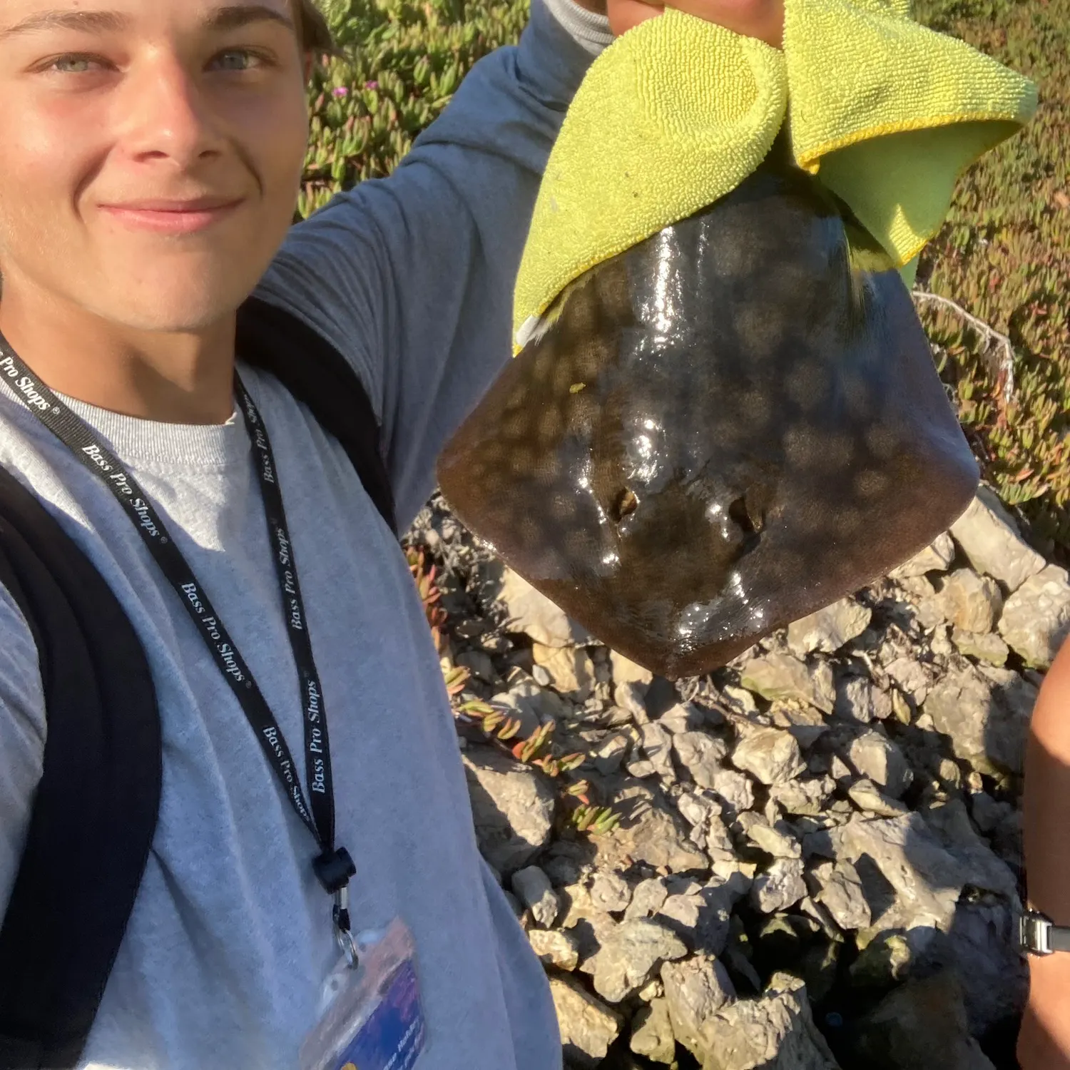 The most recent Haller's round ray catches on Fishbrain