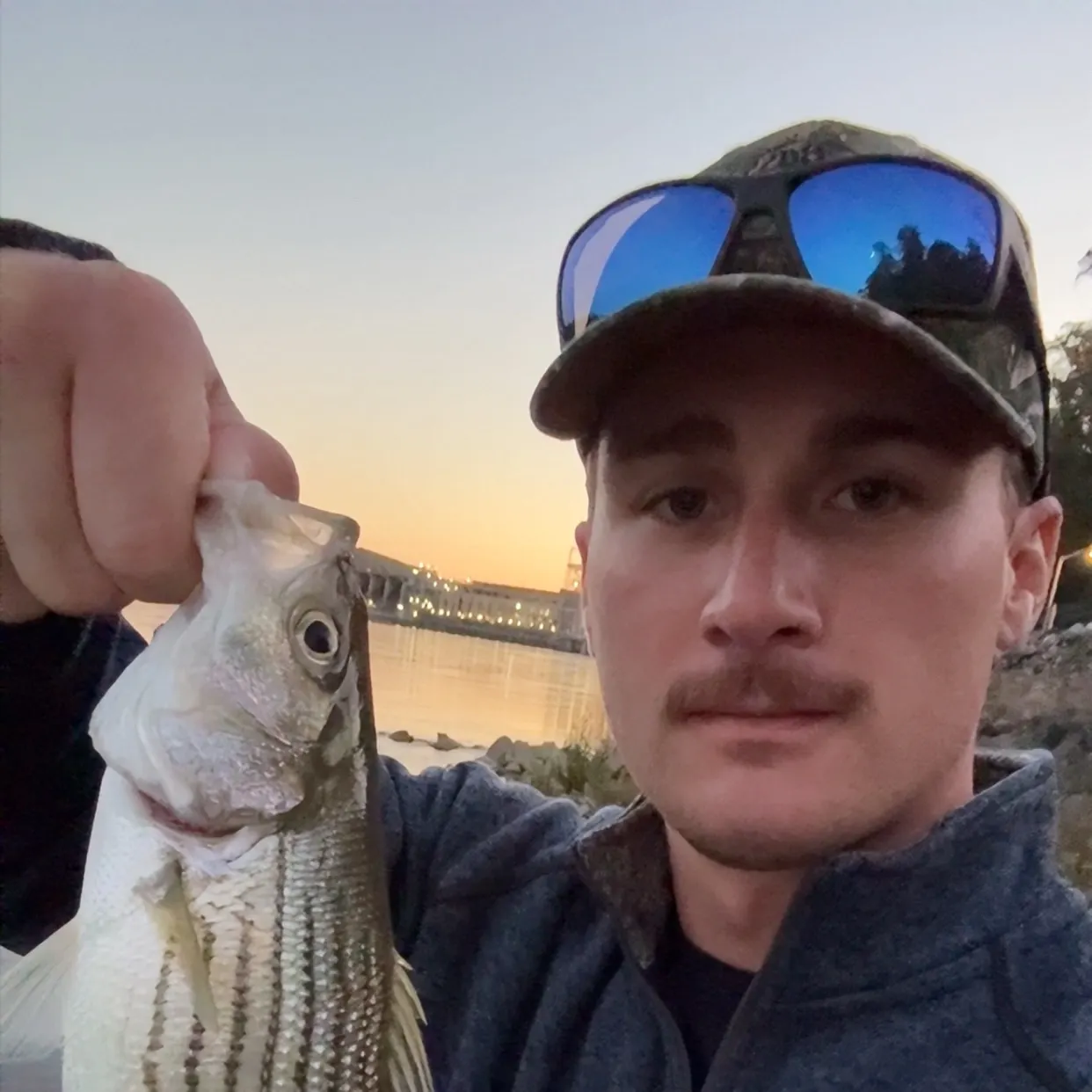Striped bass caught on Fishbrain