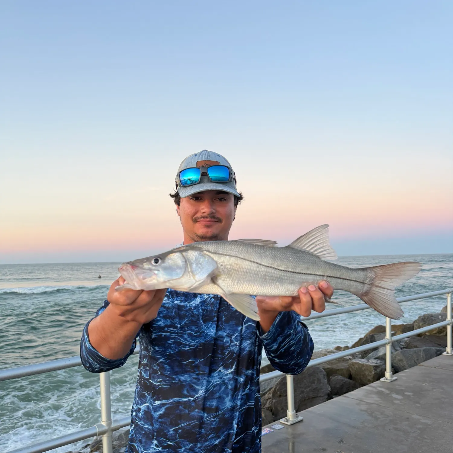 Common snook caught on Fishbrain