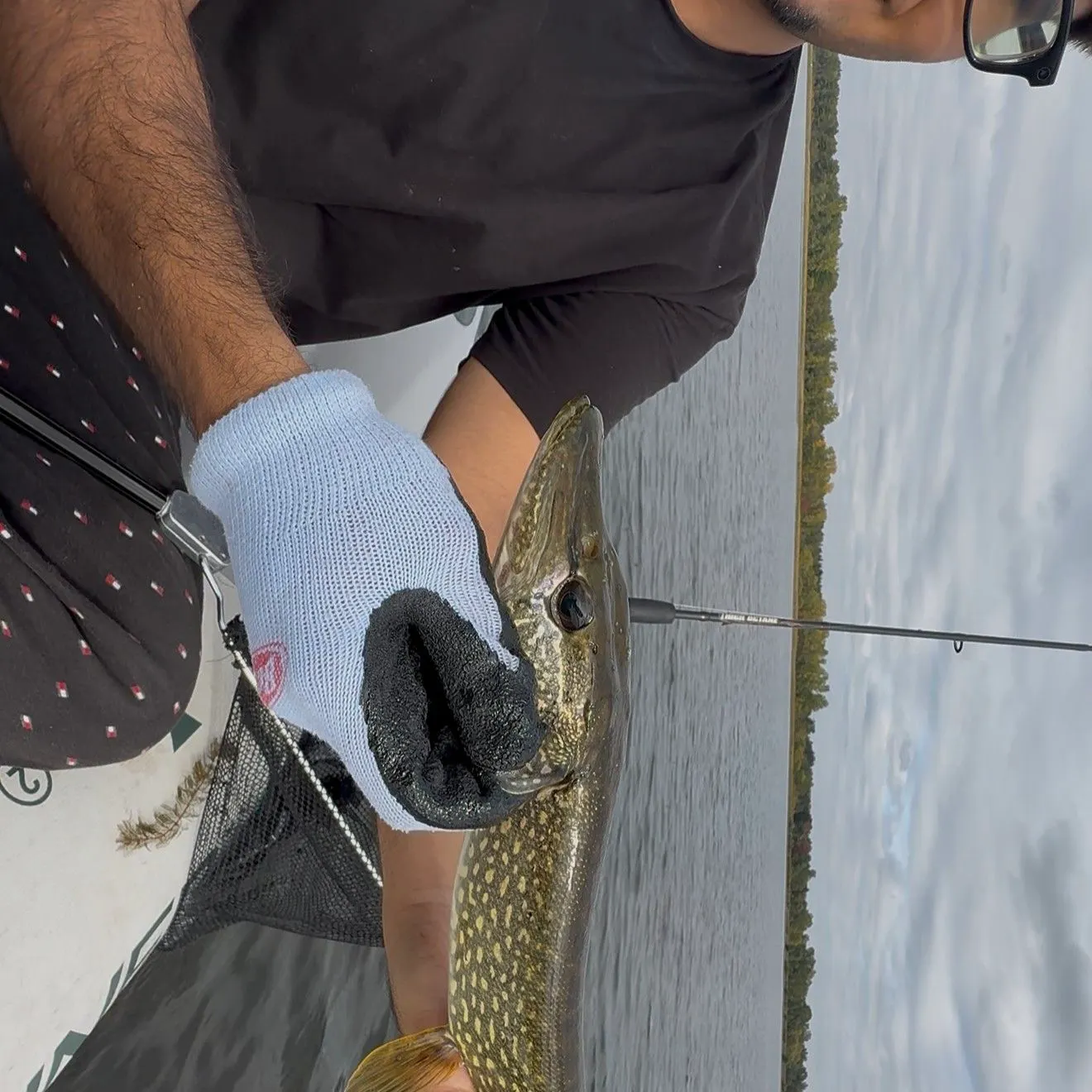 Northern pike caught on Fishbrain