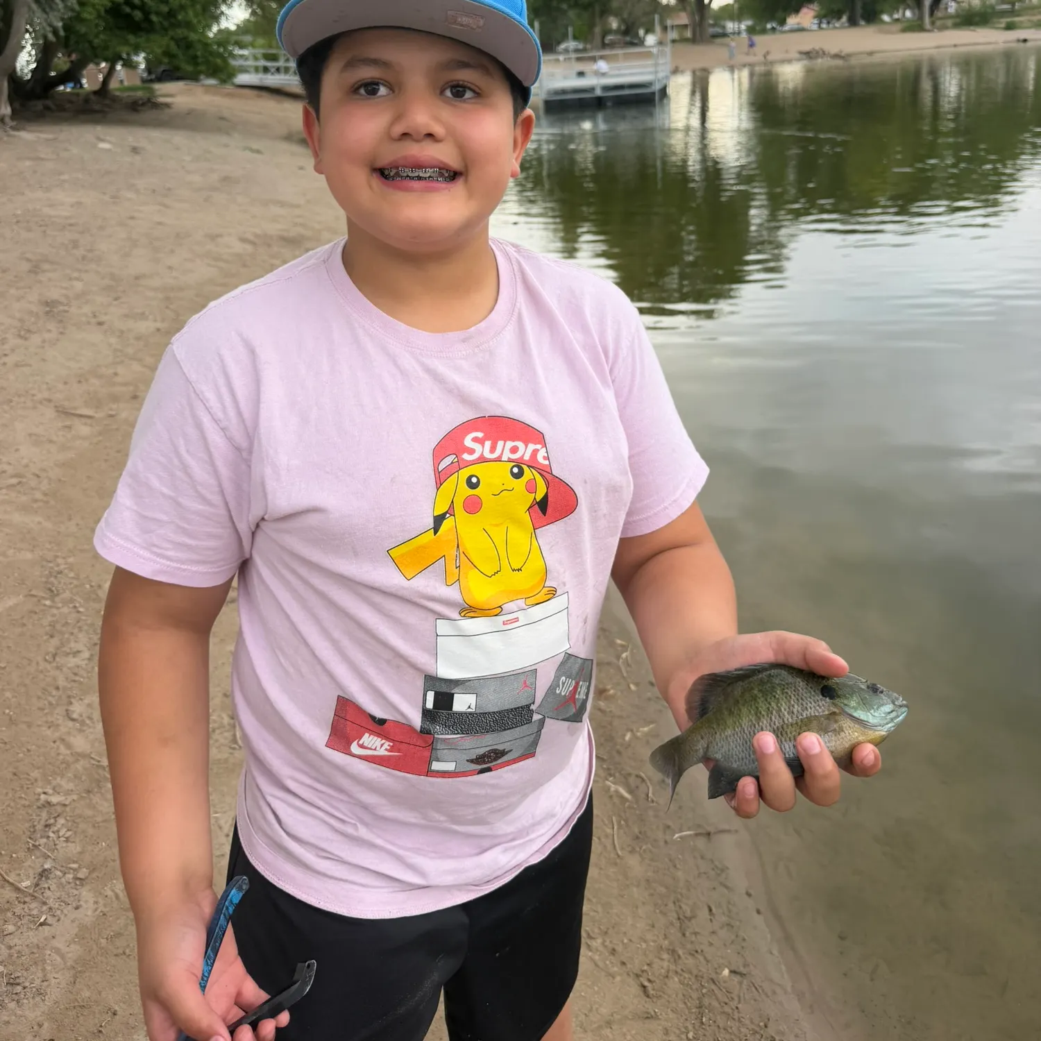 Bluegill caught on Fishbrain
