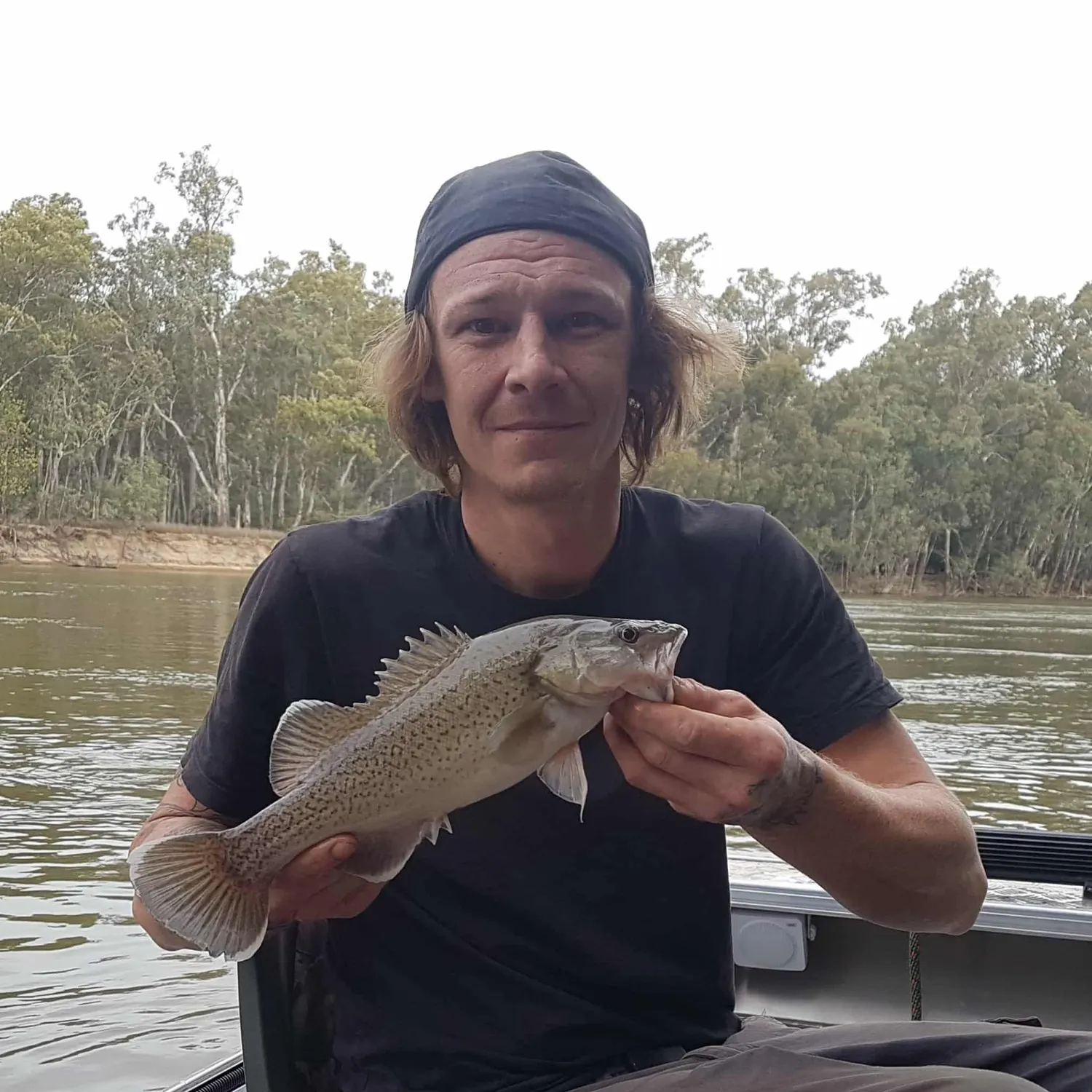 The most recent Trout cod catches on Fishbrain