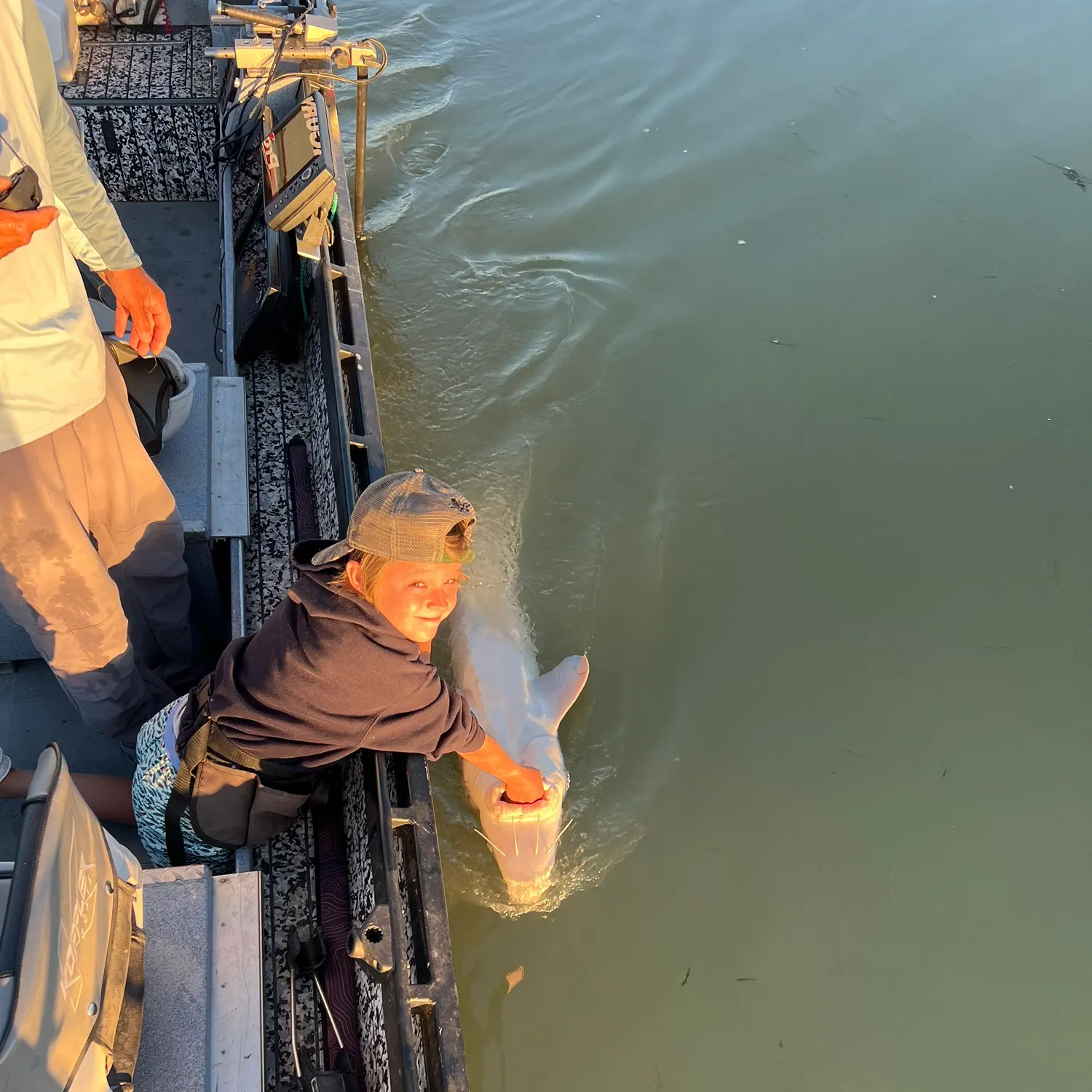 The most recent Lake sturgeon catches on Fishbrain