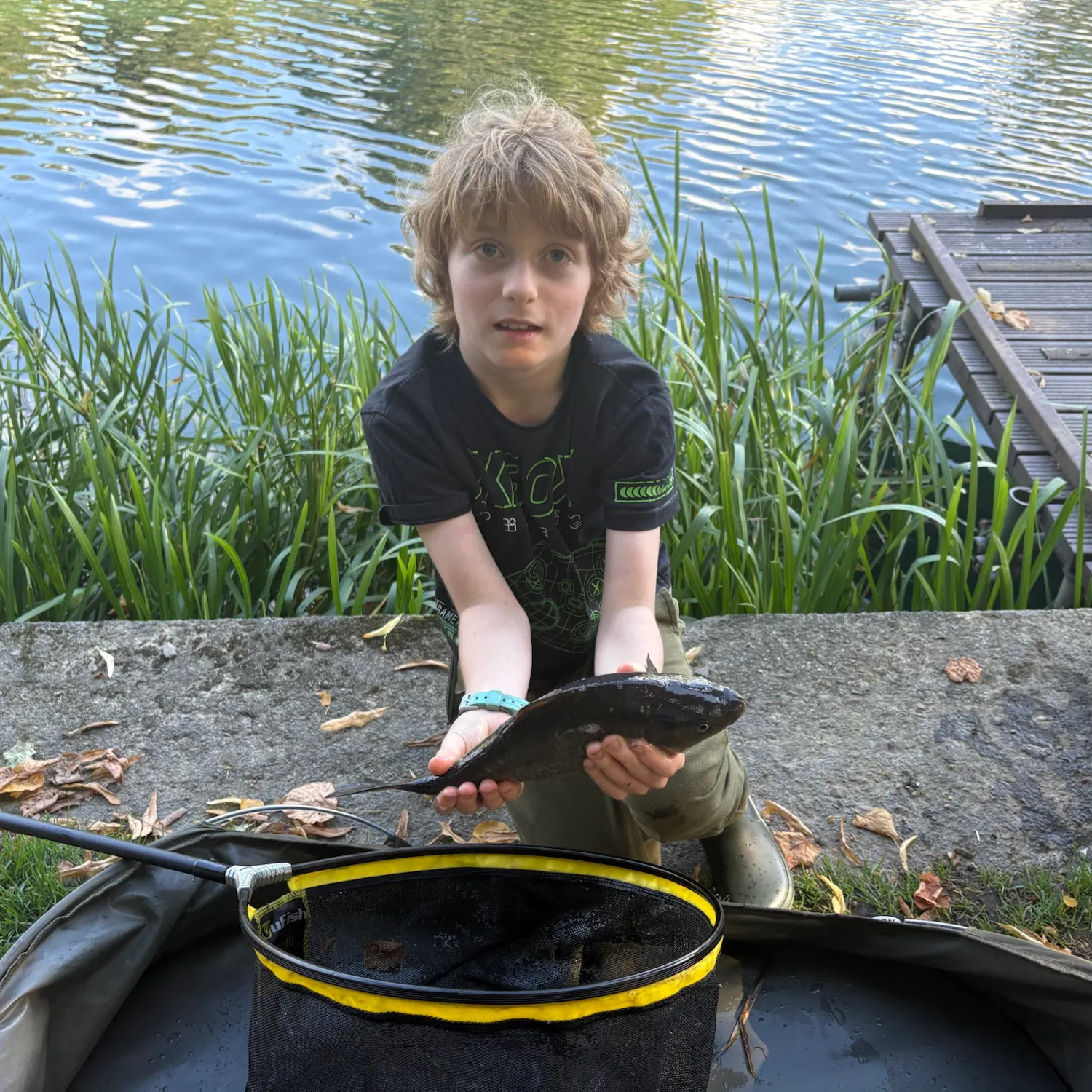 The most recent F1 carp catches on Fishbrain