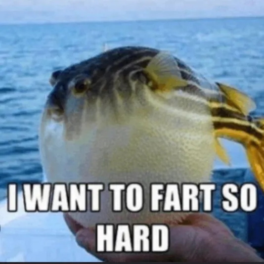 The most recent Oceanic puffer catches on Fishbrain