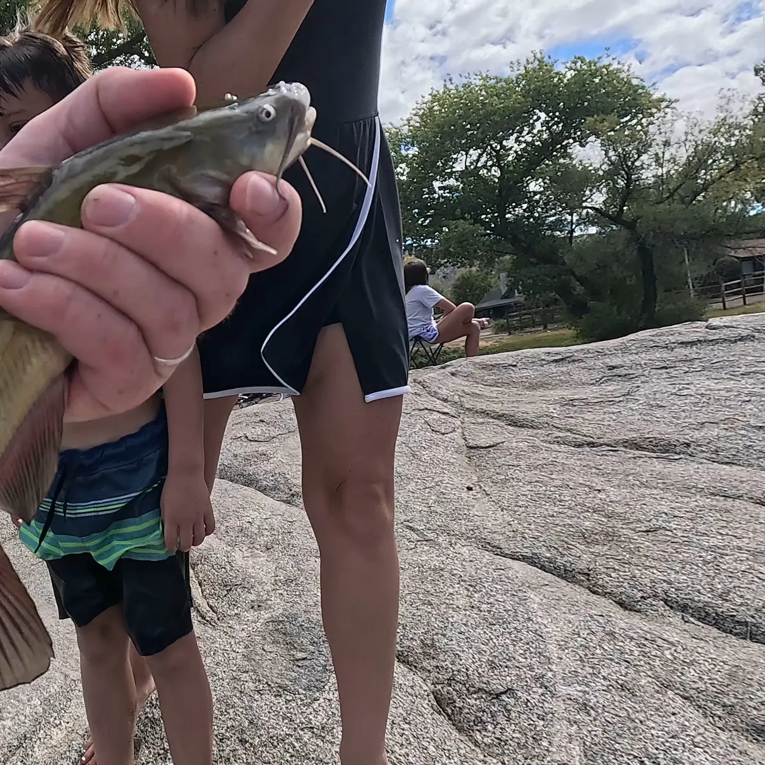 Channel catfish caught on Fishbrain