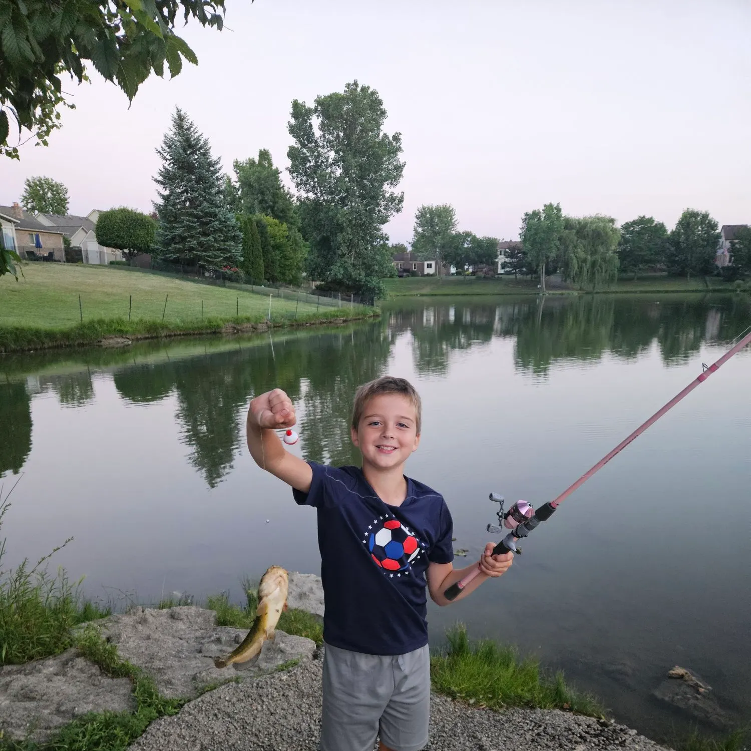 Yellow bullhead caught on Fishbrain