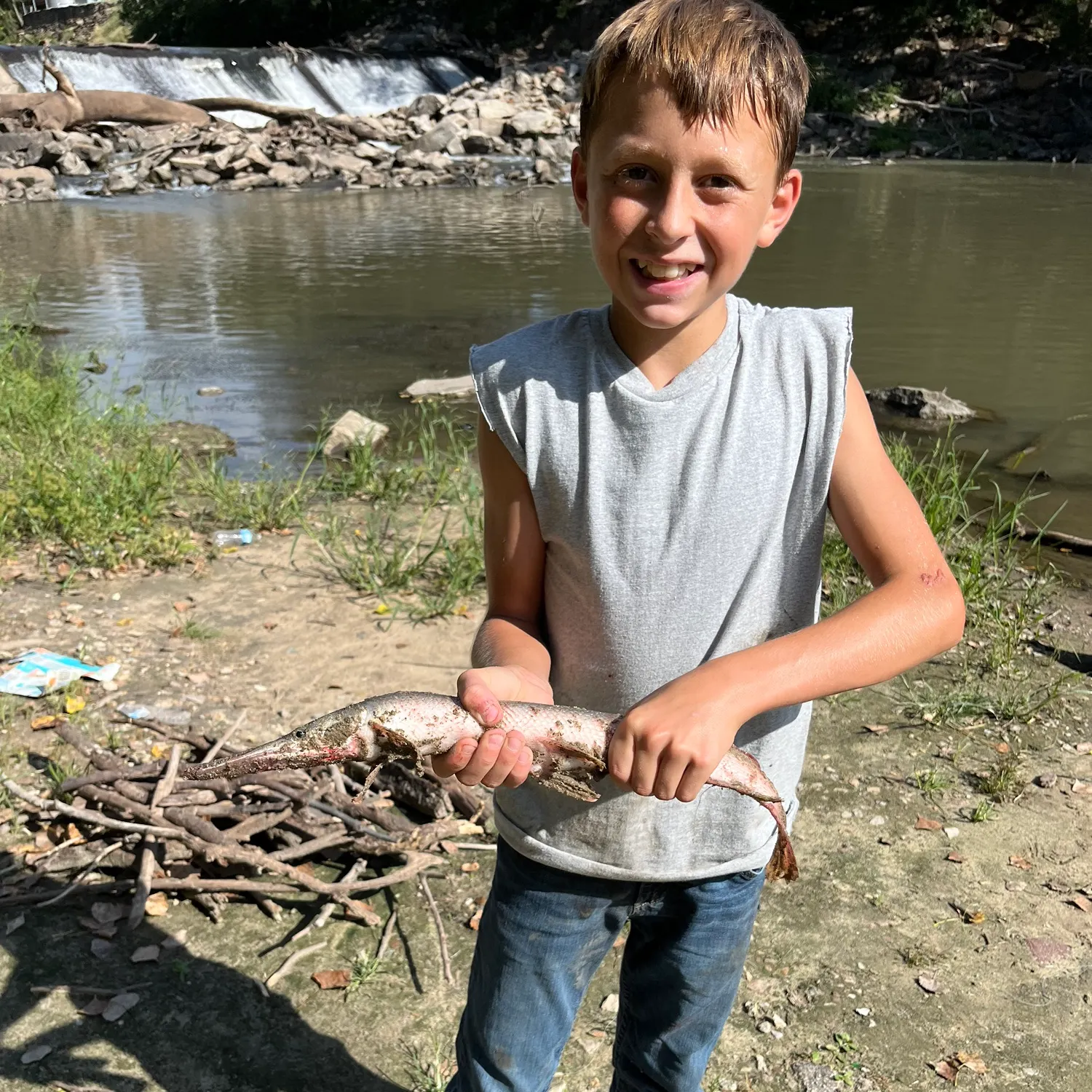 Shortnose gar caught on Fishbrain