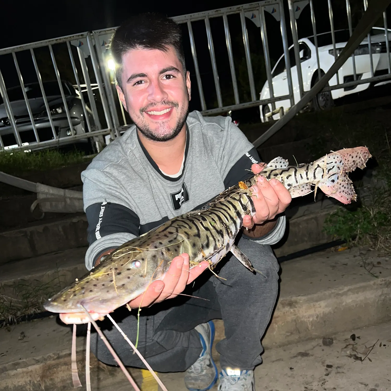 The most recent Barred sorubim catches on Fishbrain