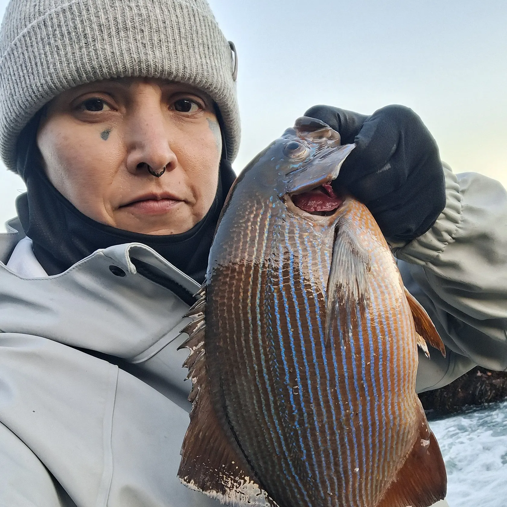 The most recent Striped seaperch catches on Fishbrain