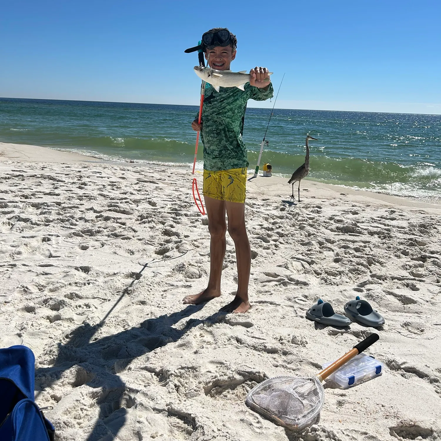 The most recent Striped mullet catches on Fishbrain