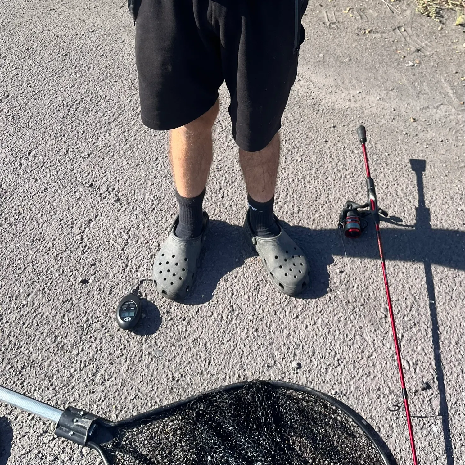 Freshwater drum caught on Fishbrain