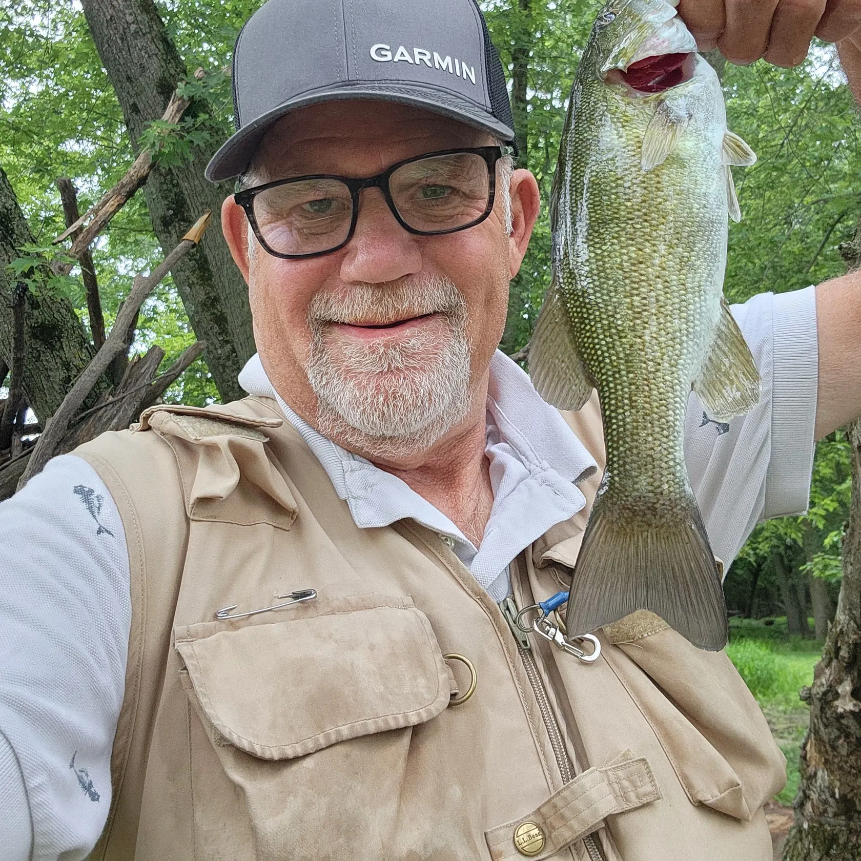 The most recent Smallmouth bass catches on Fishbrain