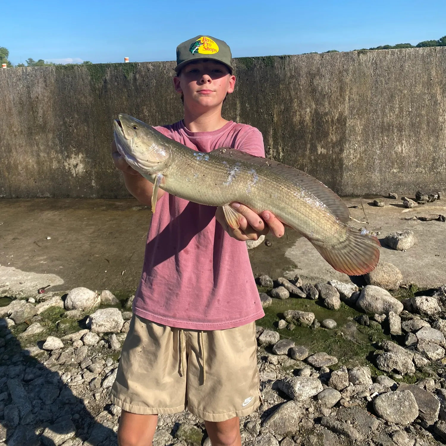 Eyetail bowfin caught on Fishbrain
