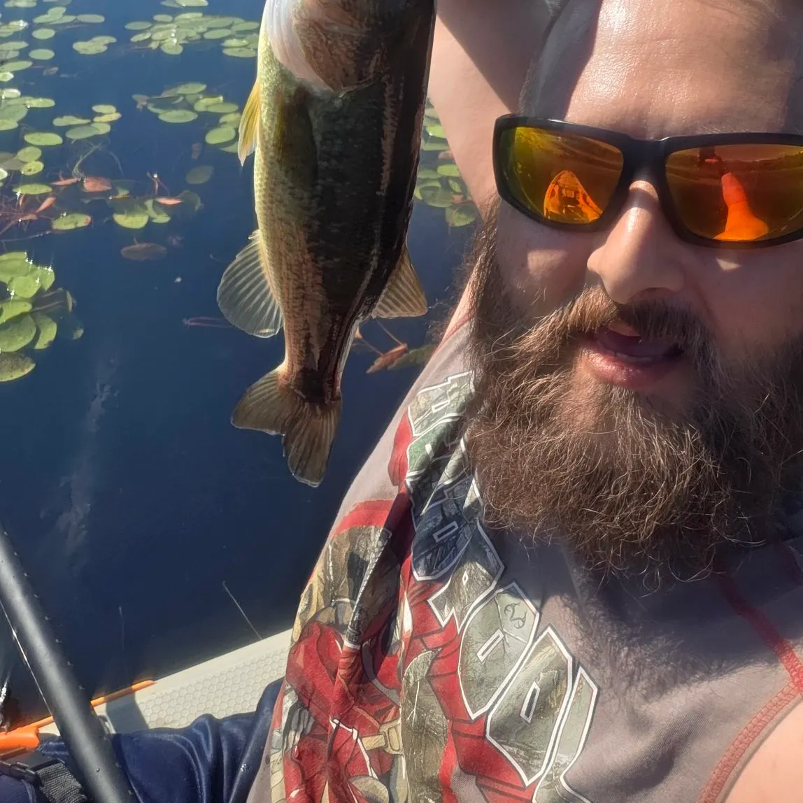 Largemouth bass caught on Fishbrain