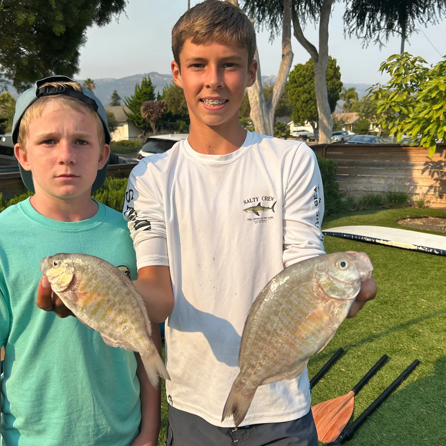 recently logged catches