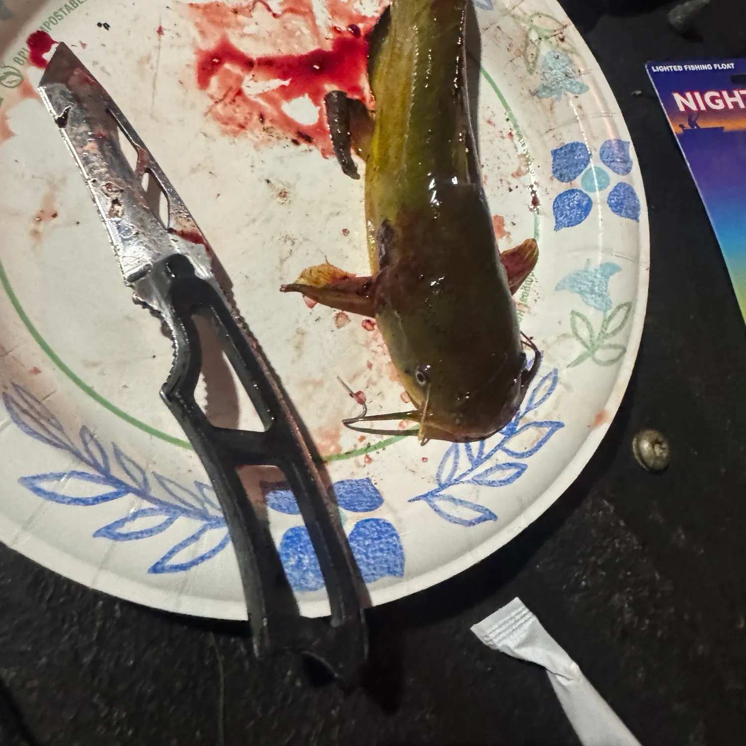 Yellow bullhead caught on Fishbrain