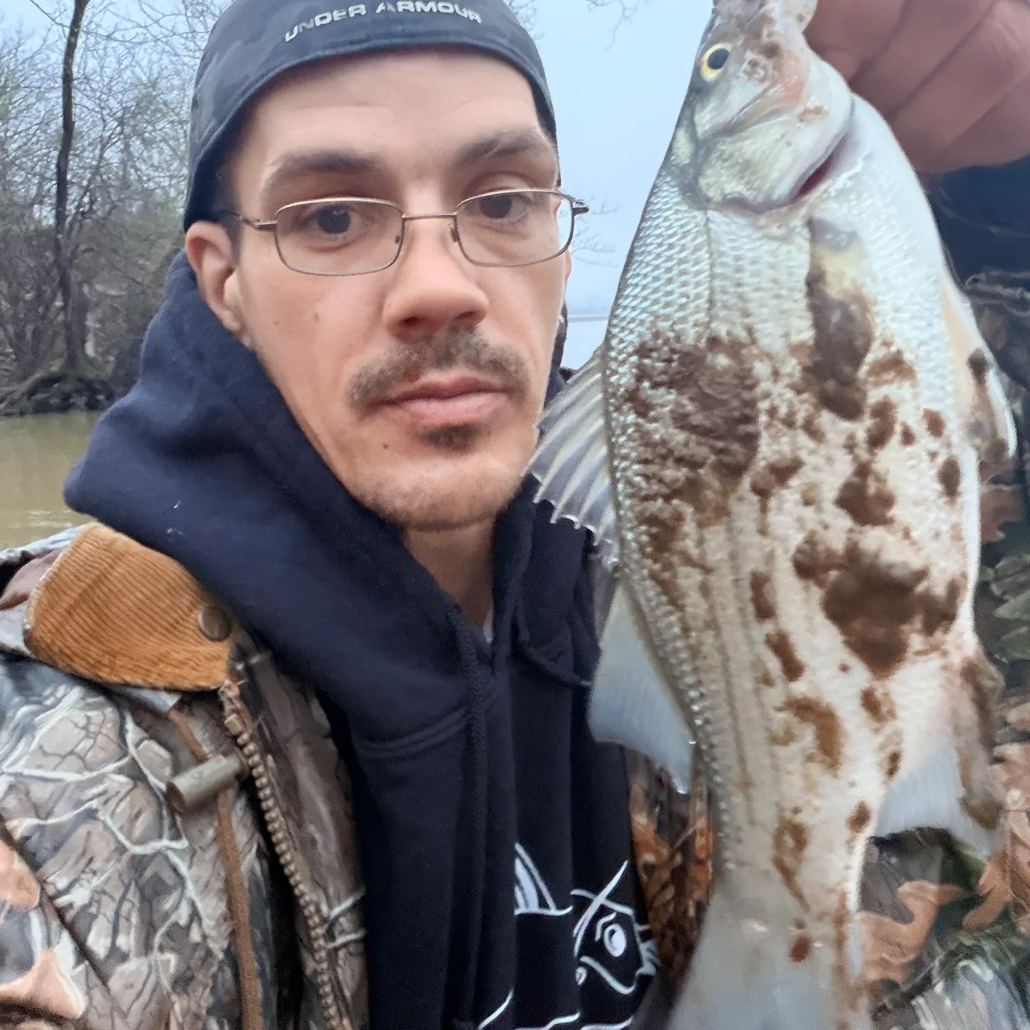 The most recent White bass catches on Fishbrain