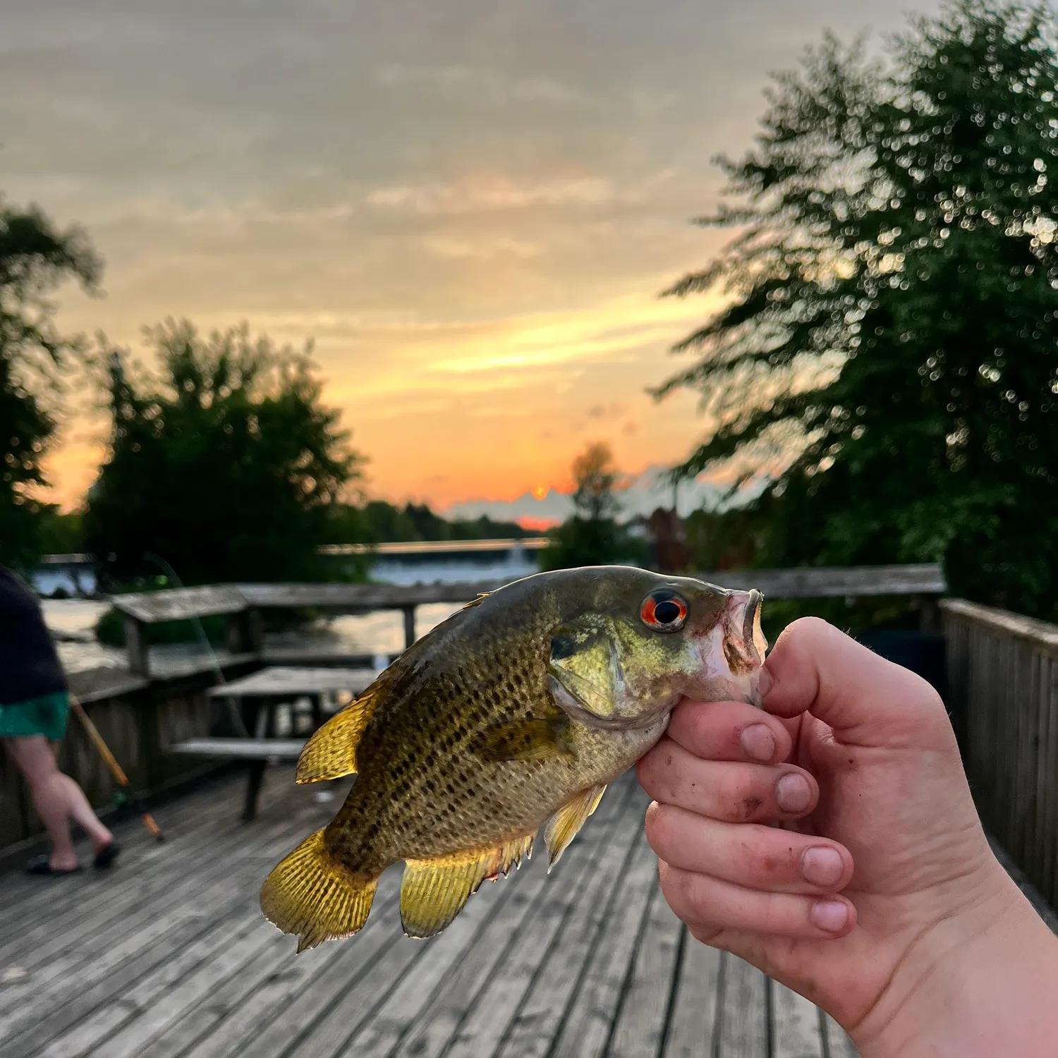 catch