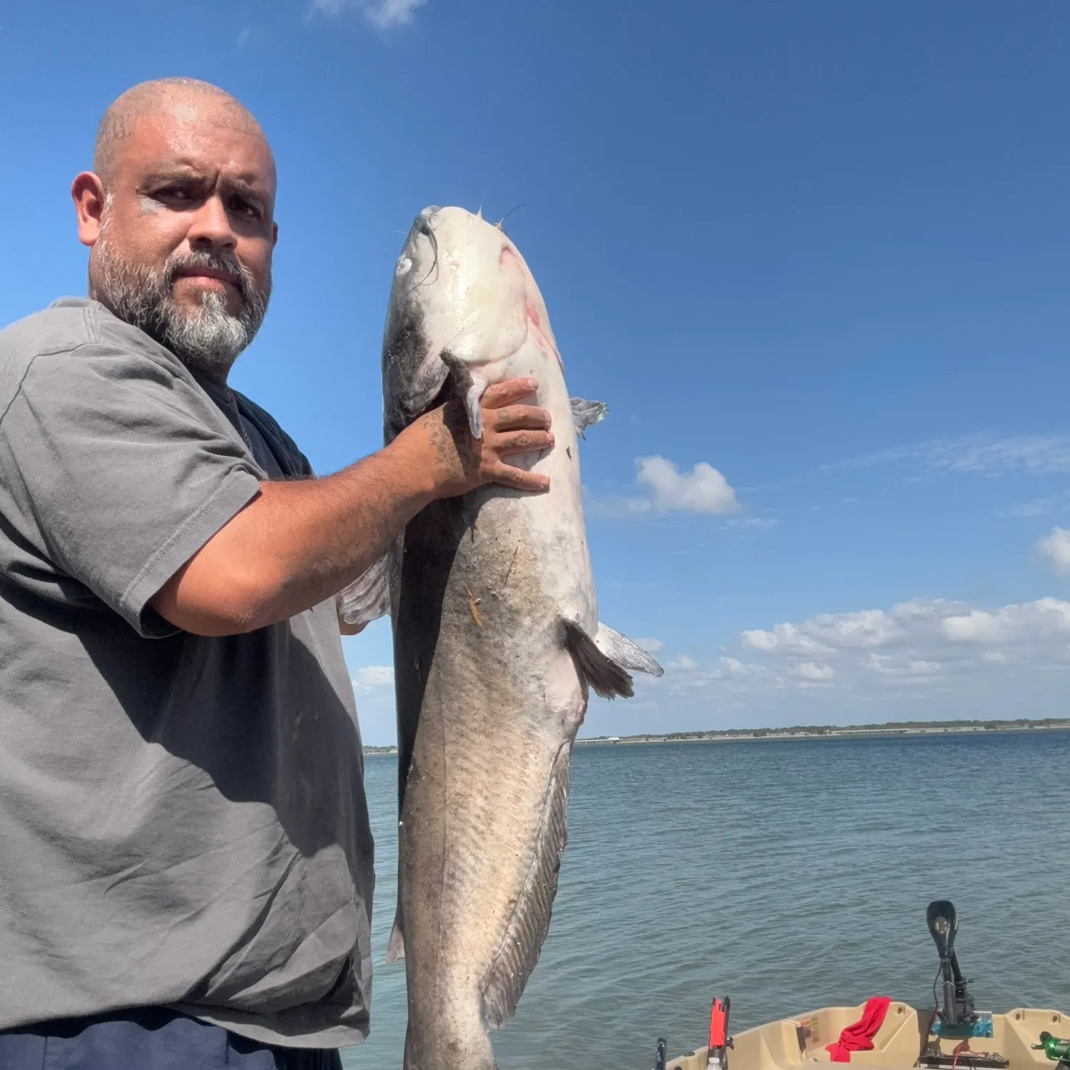 Blue catfish caught on Fishbrain