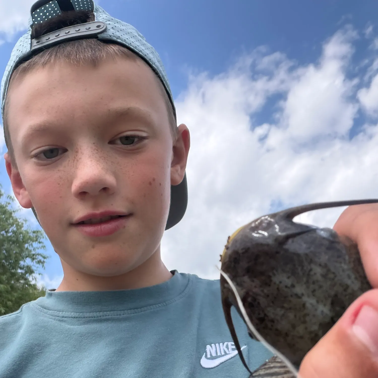 The most recent Black bullhead catches on Fishbrain