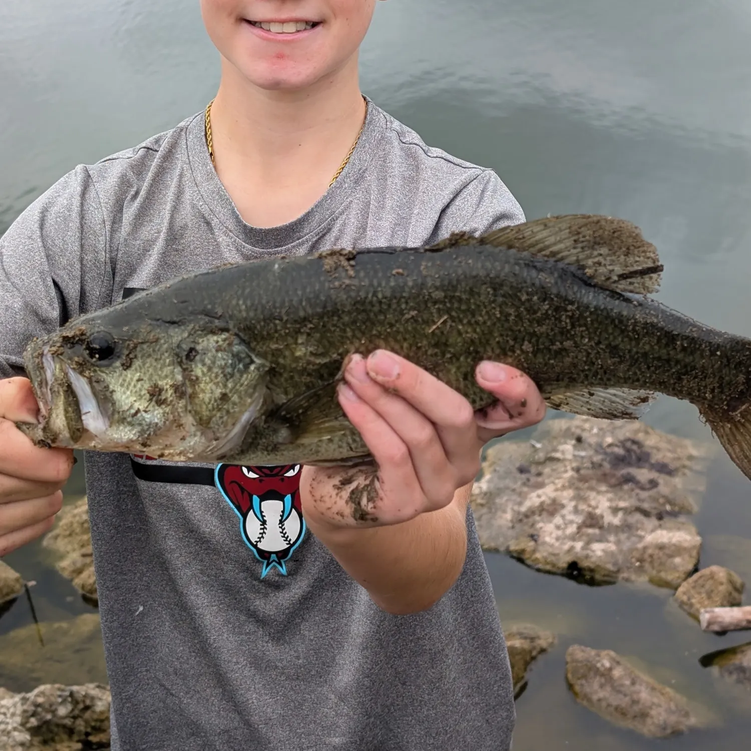 Largemouth bass caught on Fishbrain