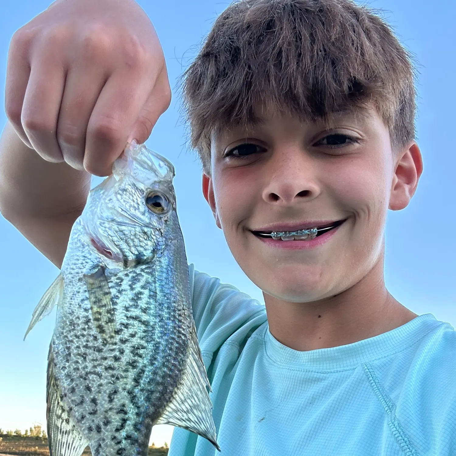 Black crappie caught on Fishbrain