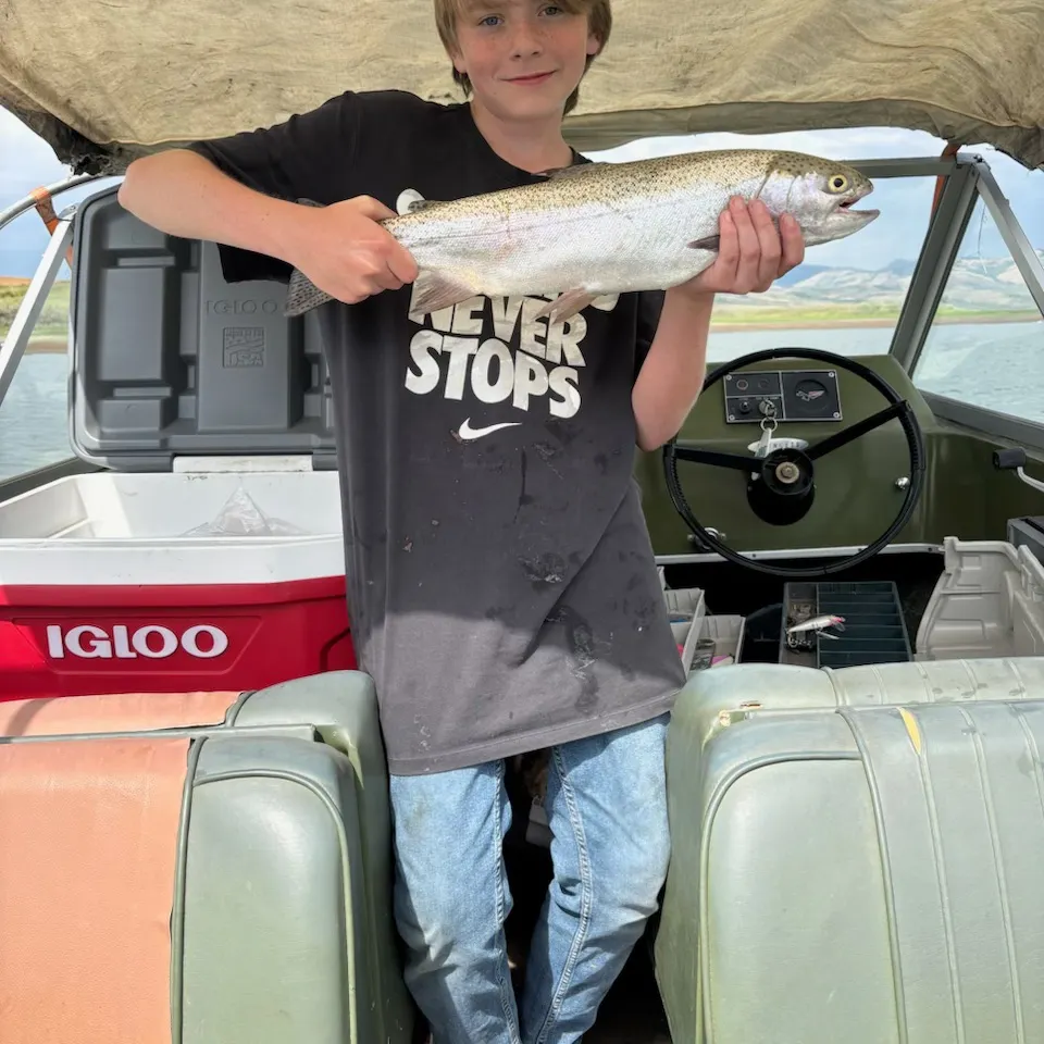 Rainbow trout caught on Fishbrain