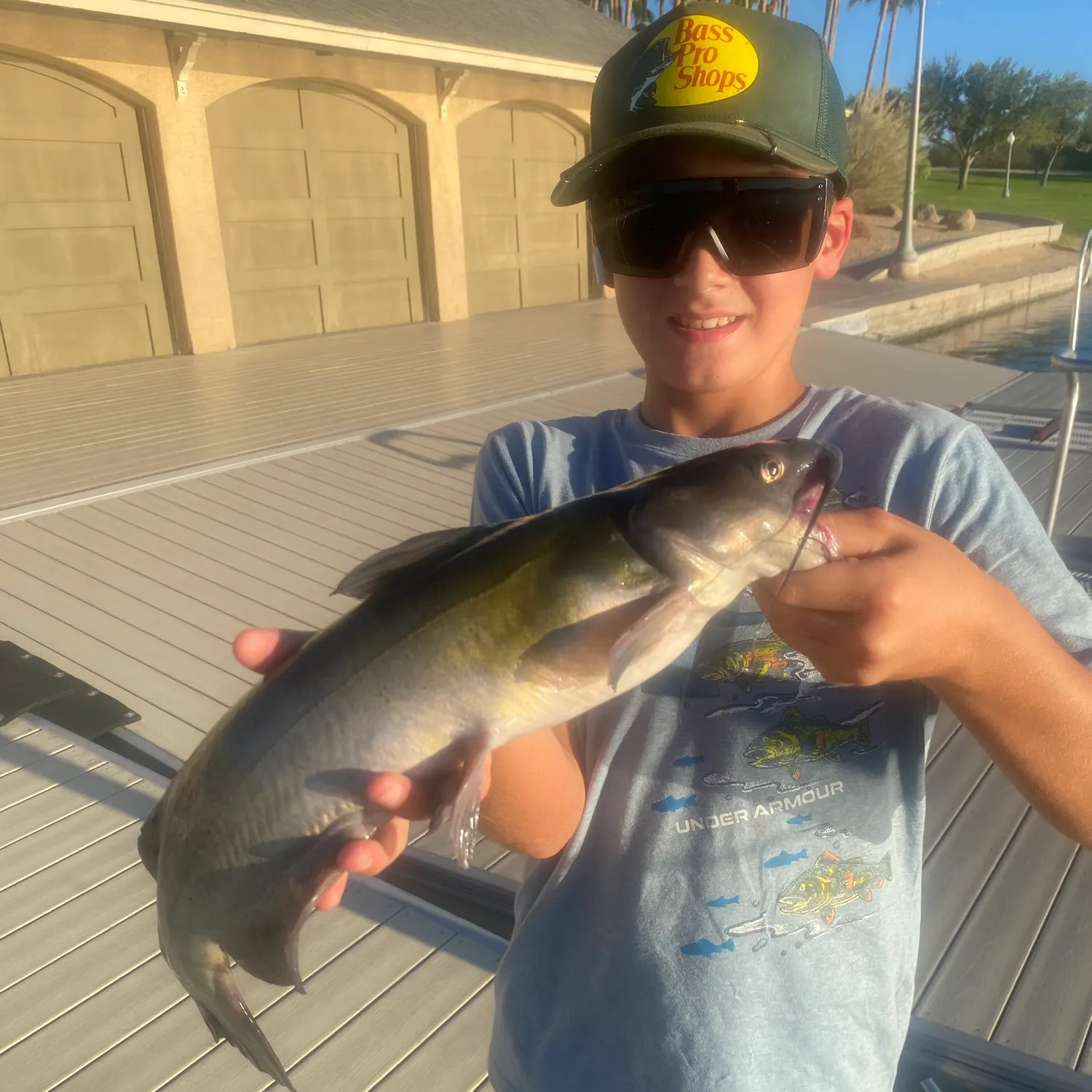 Channel catfish caught on Fishbrain