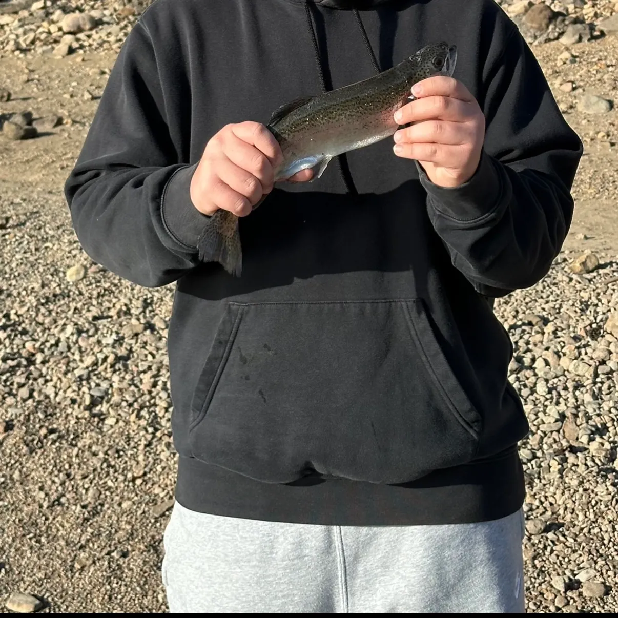 Rainbow trout caught on Fishbrain