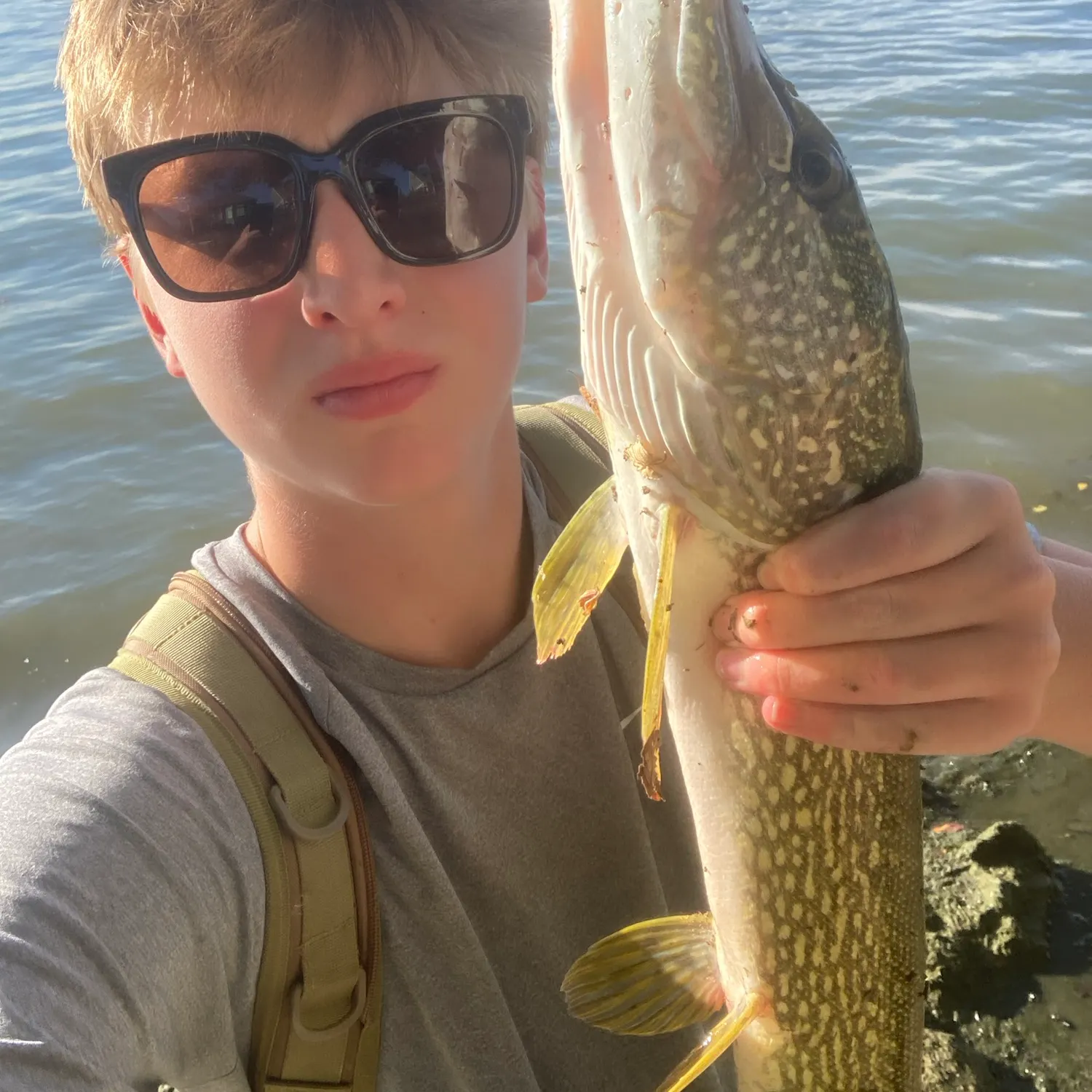 Northern pike caught on Fishbrain