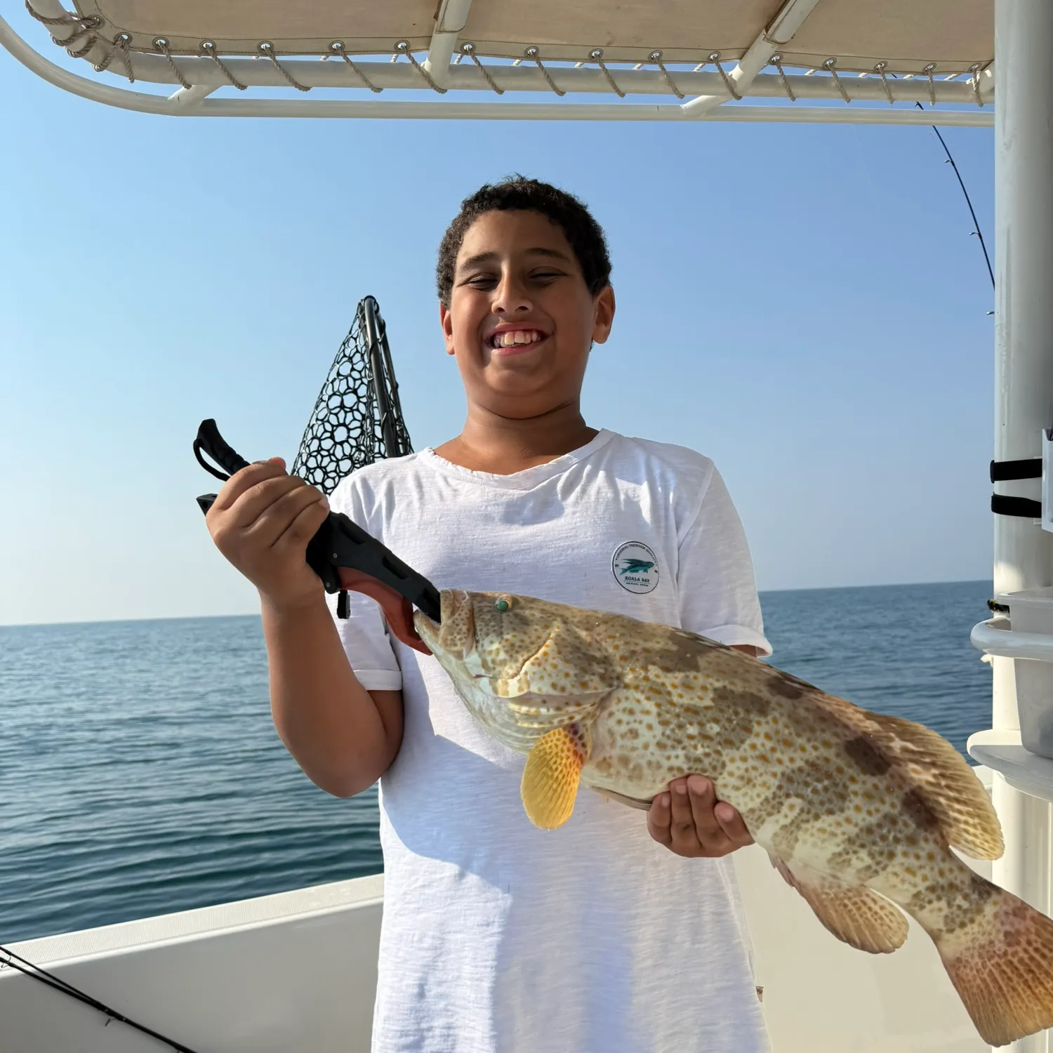 The most recent Greasy grouper catches on Fishbrain