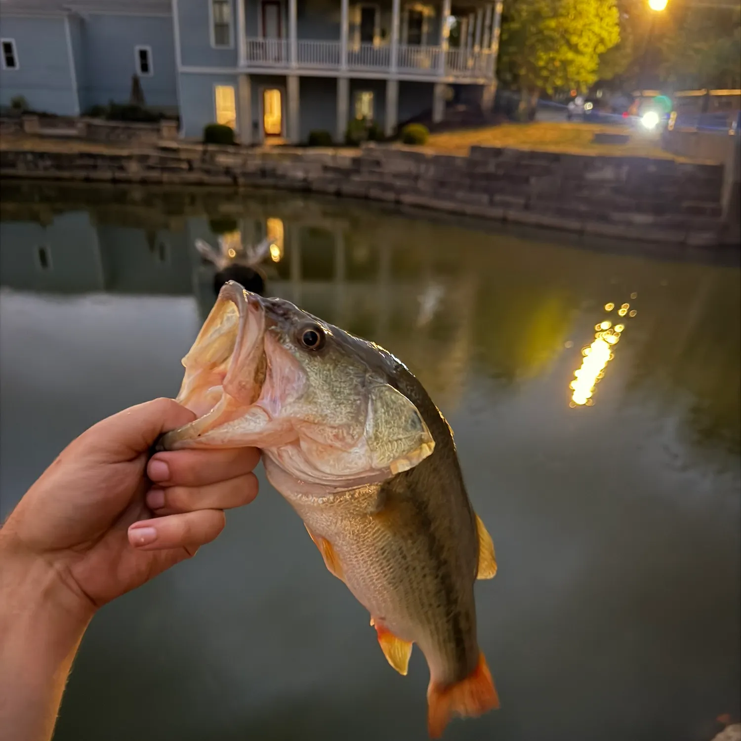 catch