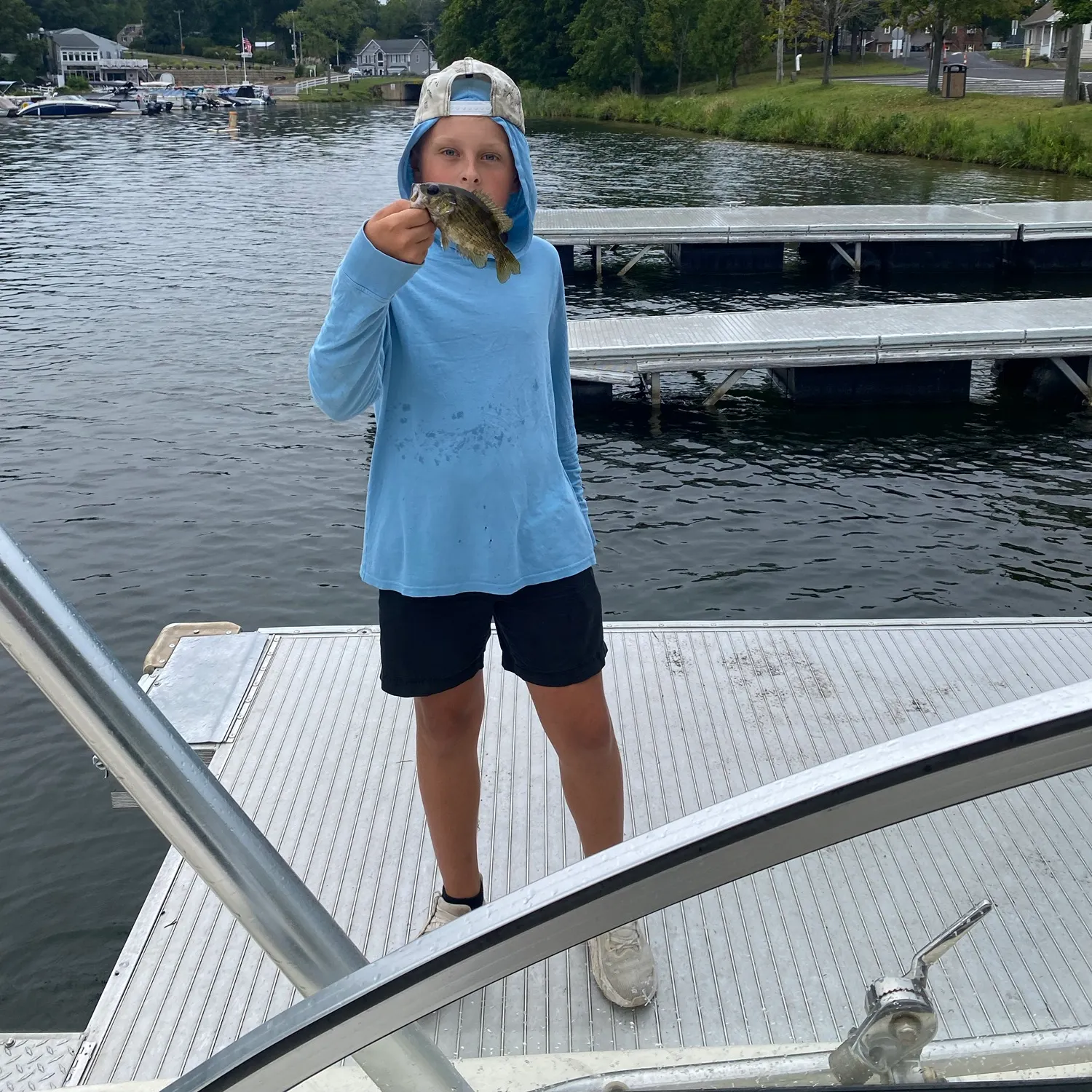Rock bass caught on Fishbrain