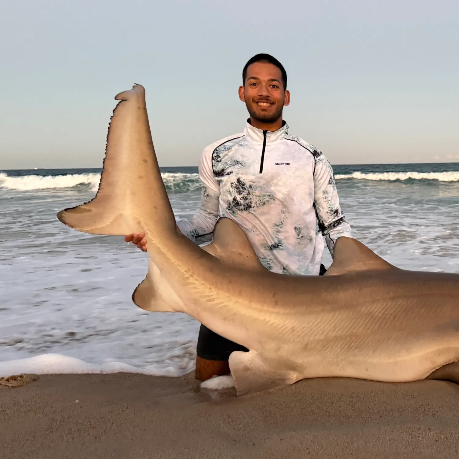 Sand tiger shark caught on Fishbrain