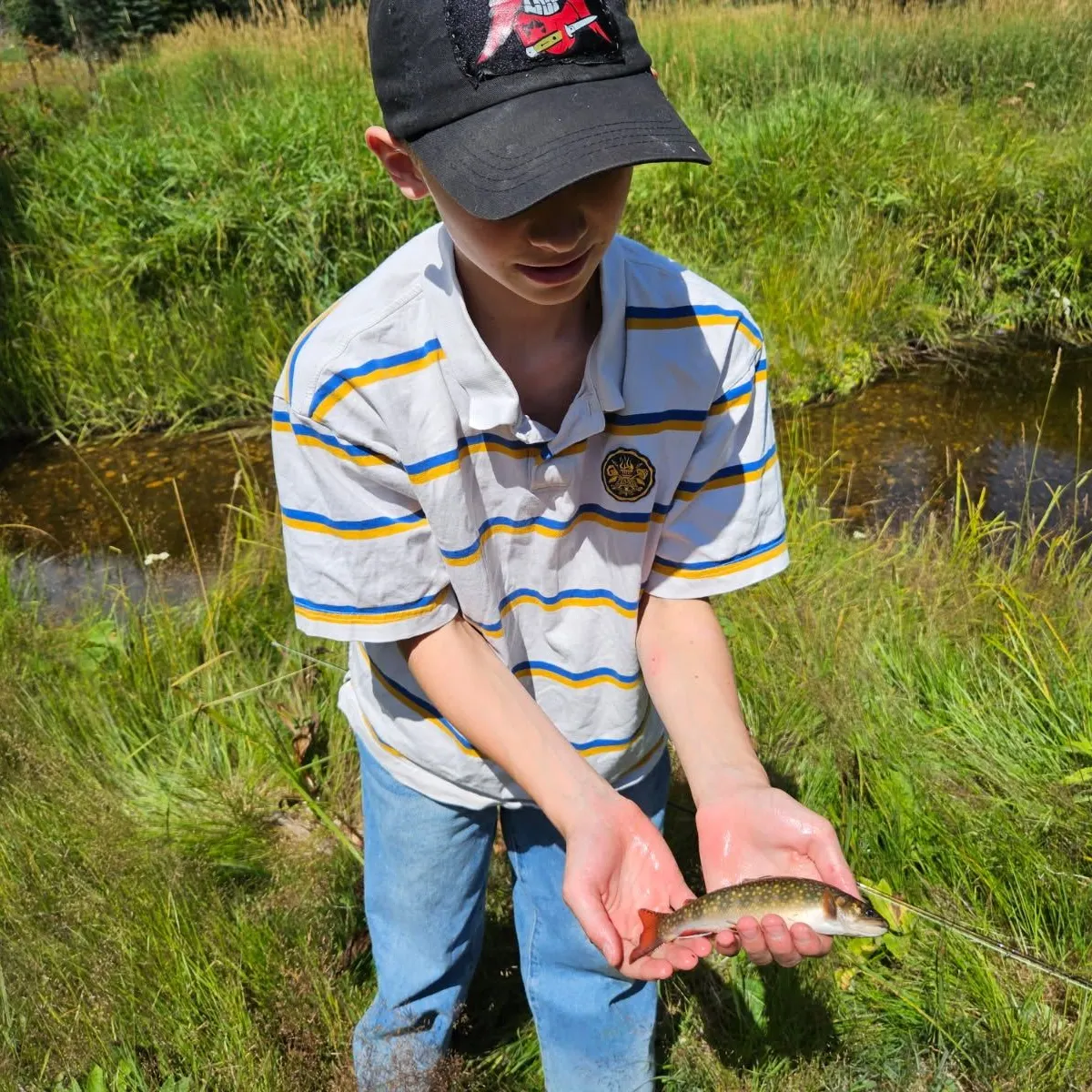 Brook trout caught on Fishbrain