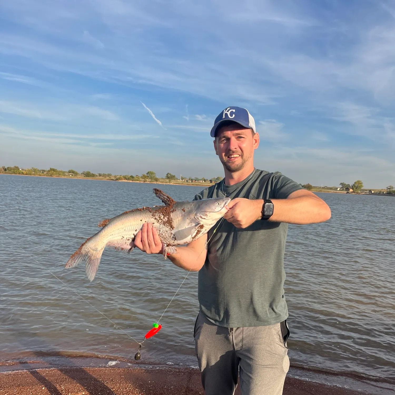 Blue catfish caught on Fishbrain